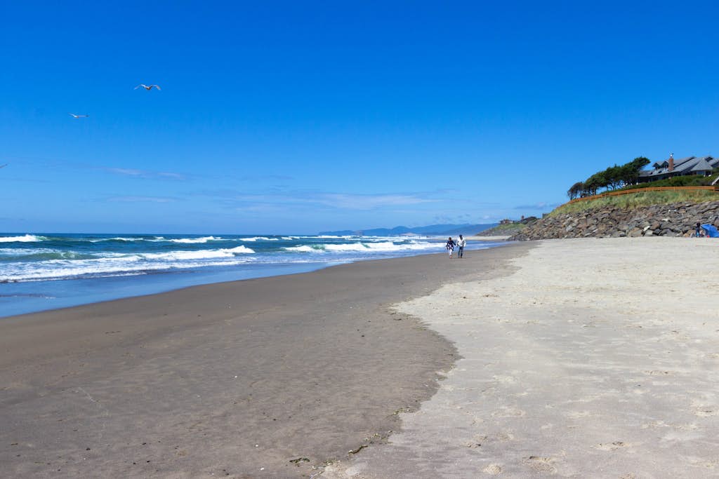 Dog friendly oceanfront condo with amazing ocean views steps to beach