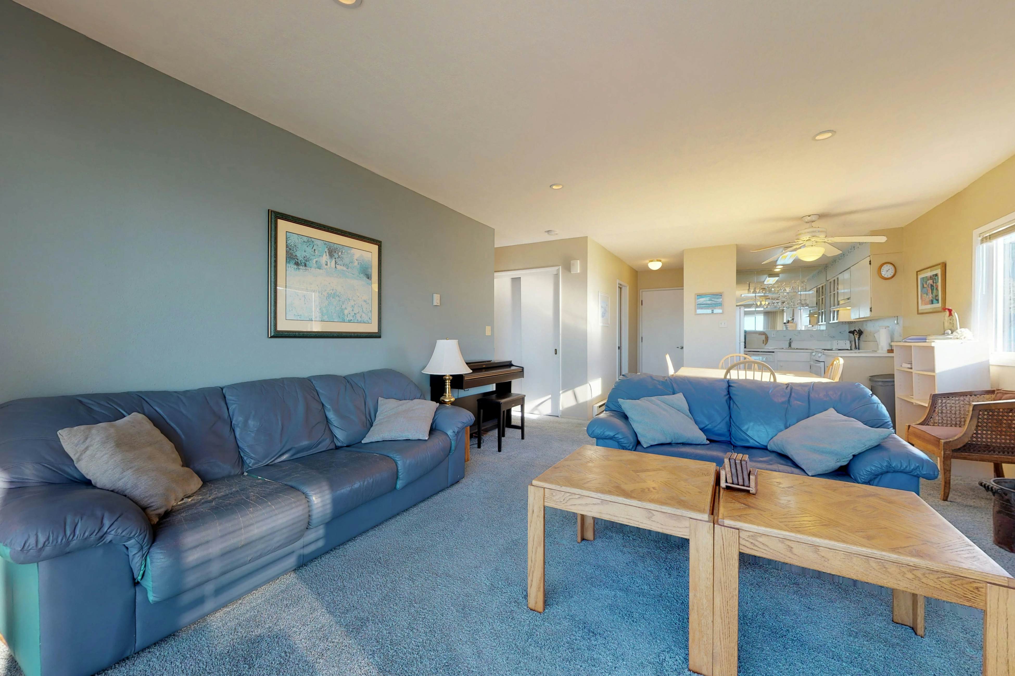 Dog friendly oceanfront condo with amazing ocean views steps to beach