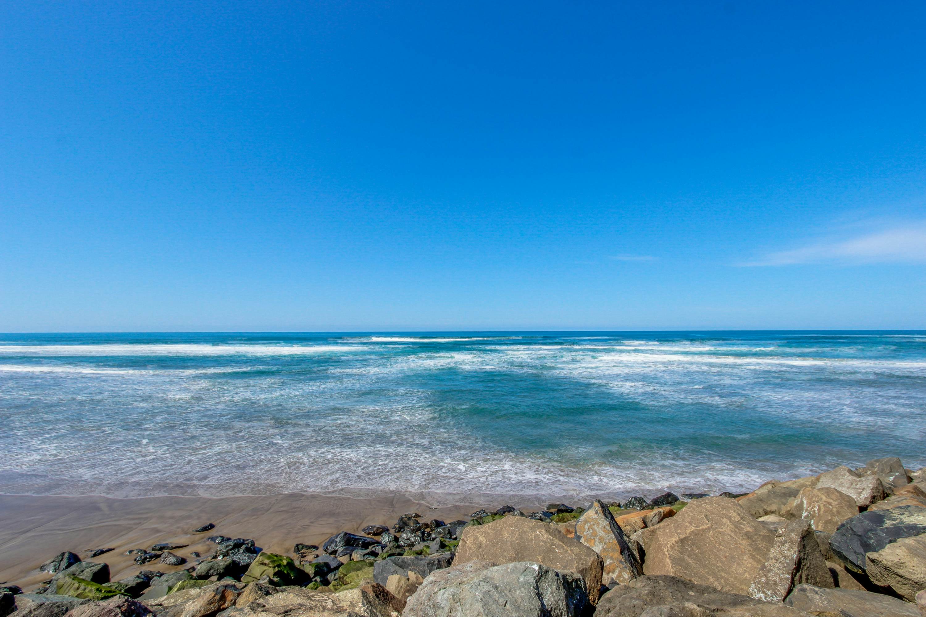 Dog friendly oceanfront condo with amazing ocean views steps to beach