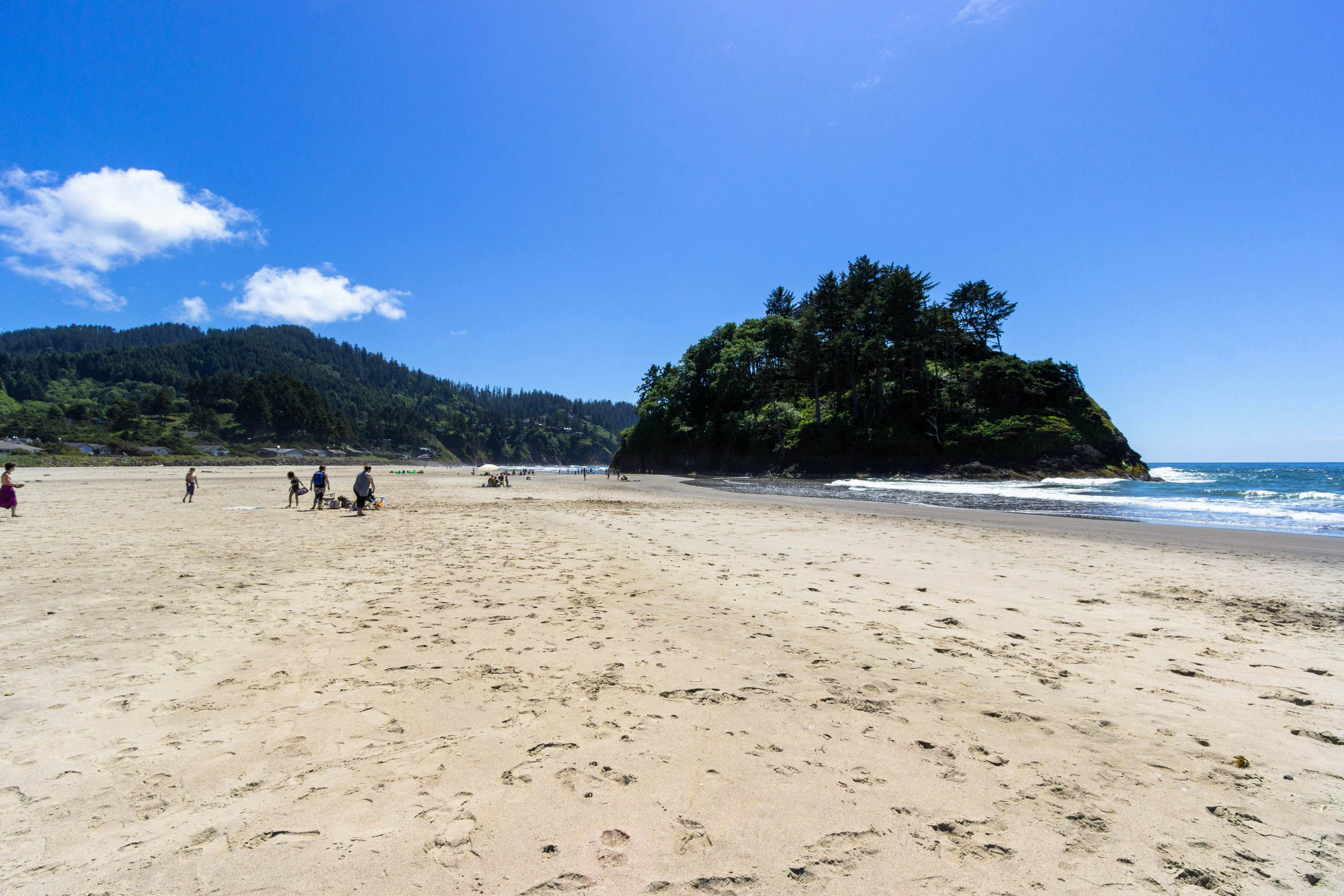 Charming oceanfront studio w/ easy beach access and stunning ocean views