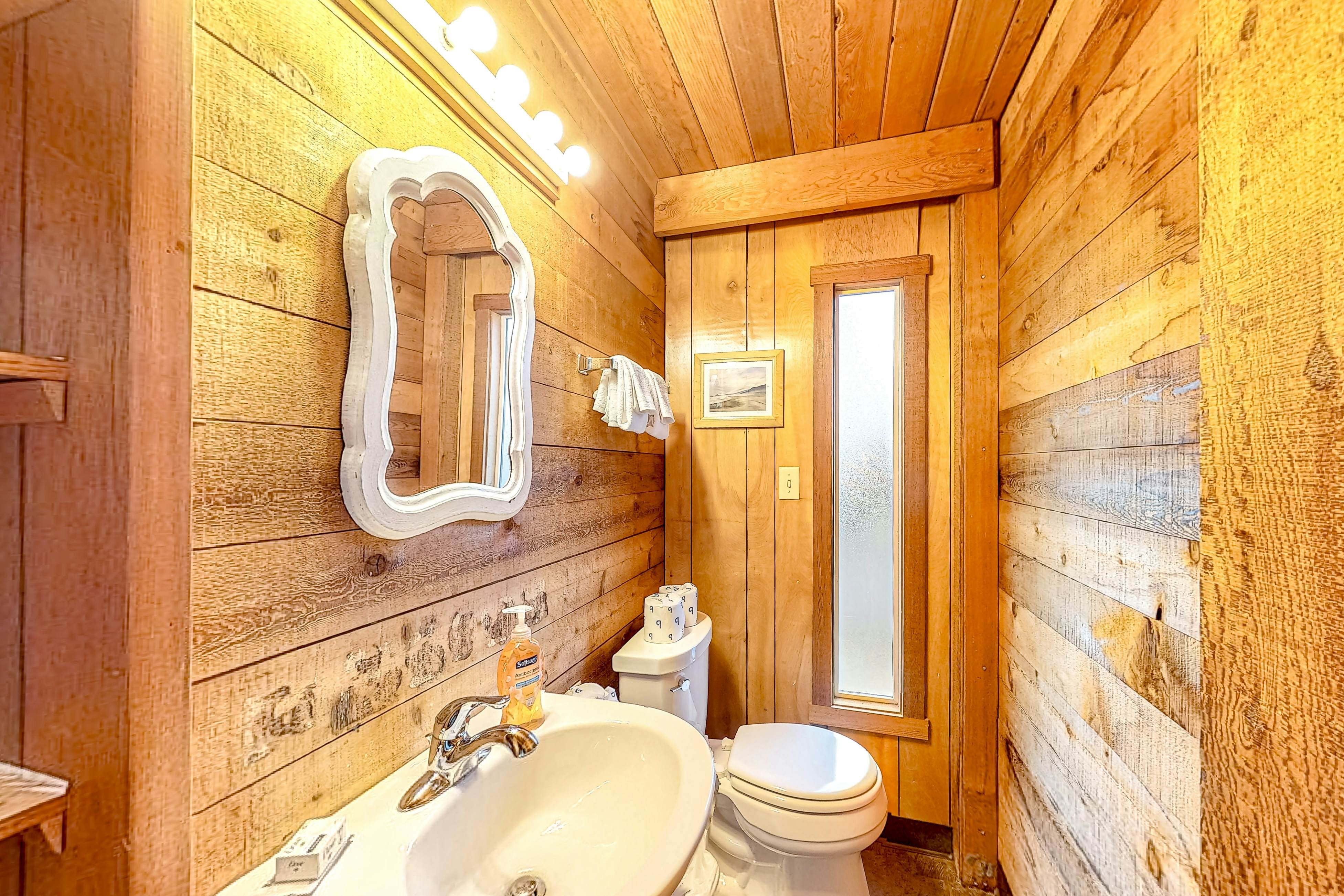 Dog friendly home with wetlands view deck fireplace outdoor shower