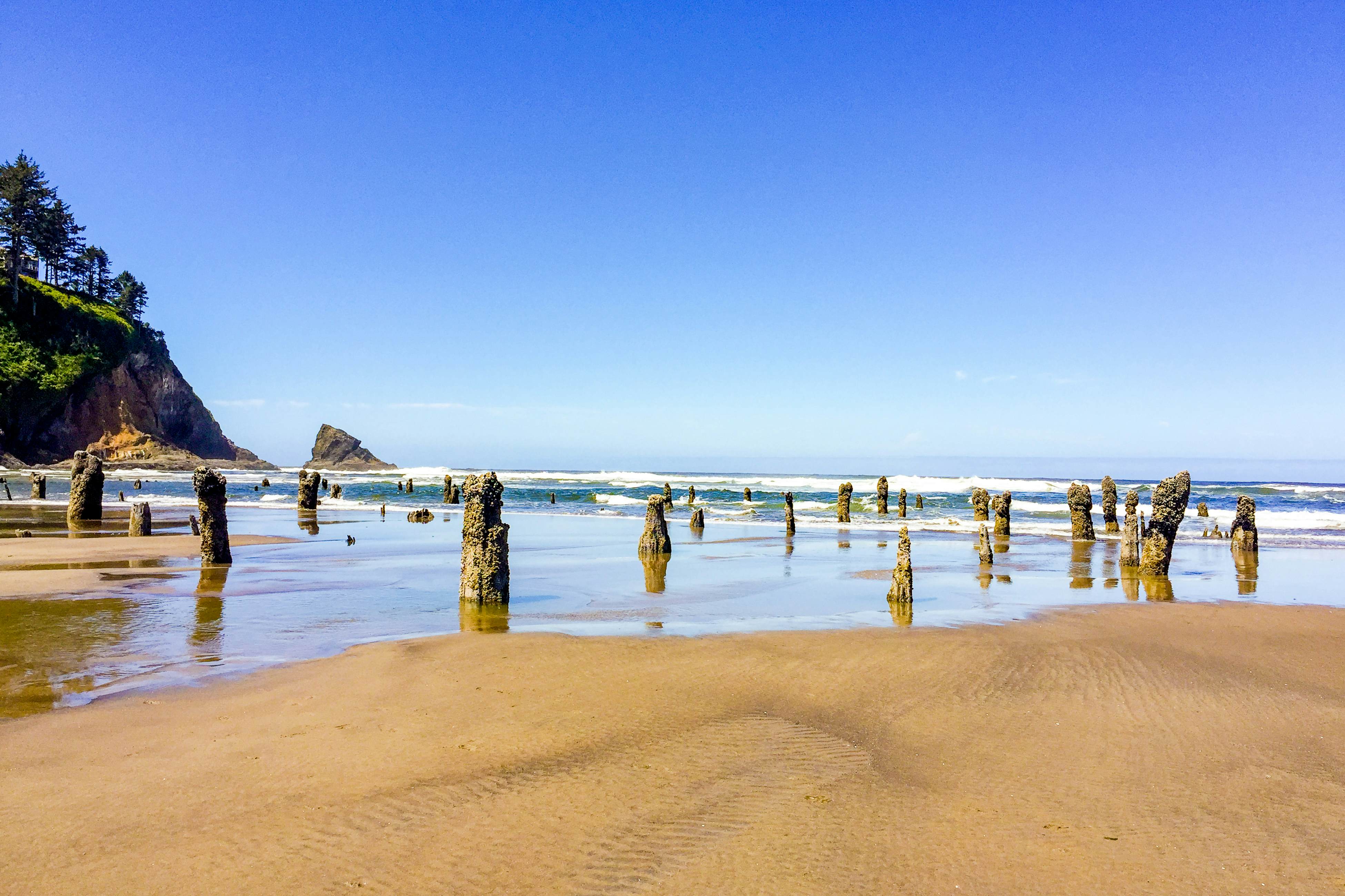 Dog-friendly, riverfront suite at oceanfront Proposal Rock Inn - steps to beach