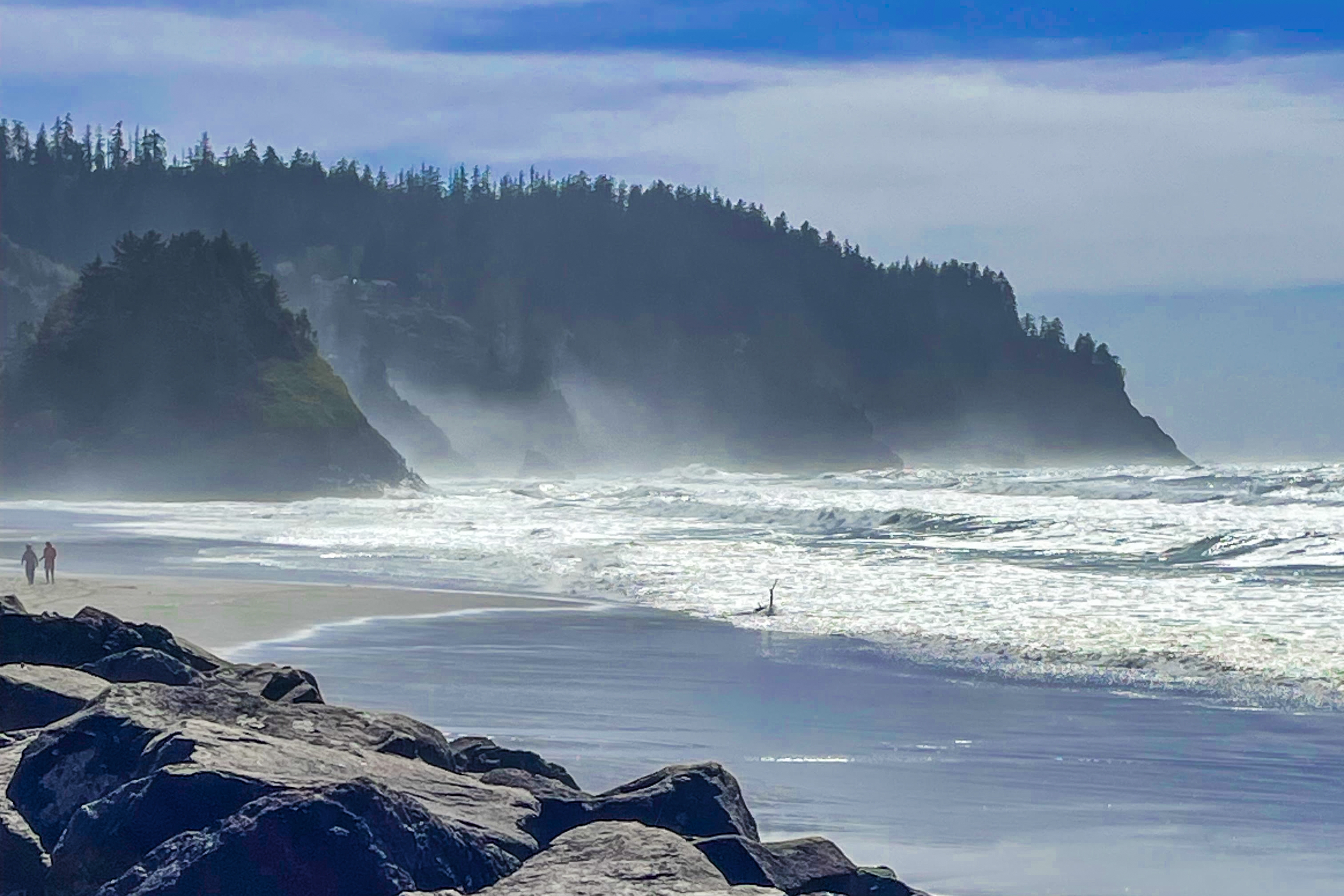 Oceanfront ground level condo with fireplace and updated kitchen dog friendly