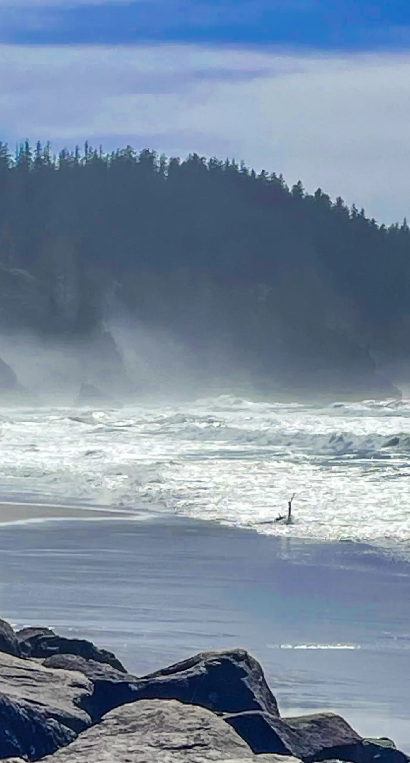 Oceanfront ground level condo with fireplace and updated kitchen dog friendly