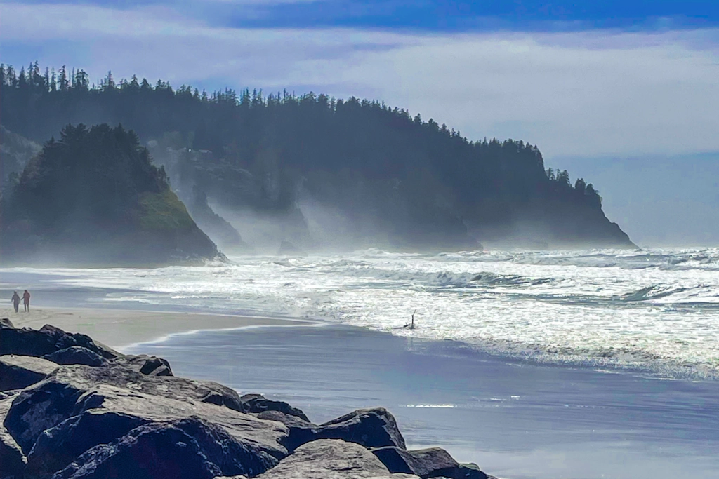 Oceanfront ground level condo with fireplace and updated kitchen dog friendly