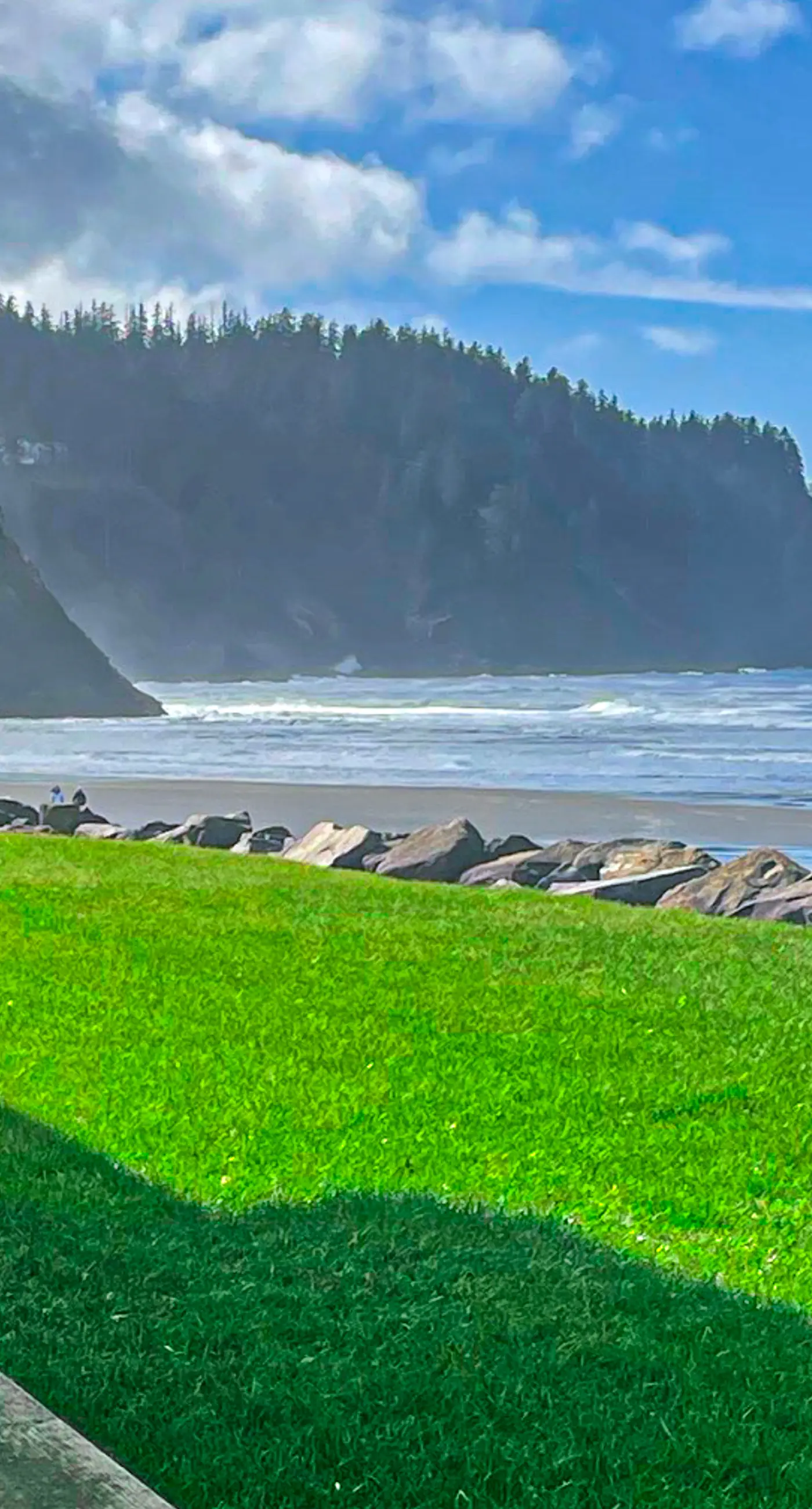 Oceanfront ground level condo with fireplace and updated kitchen dog friendly