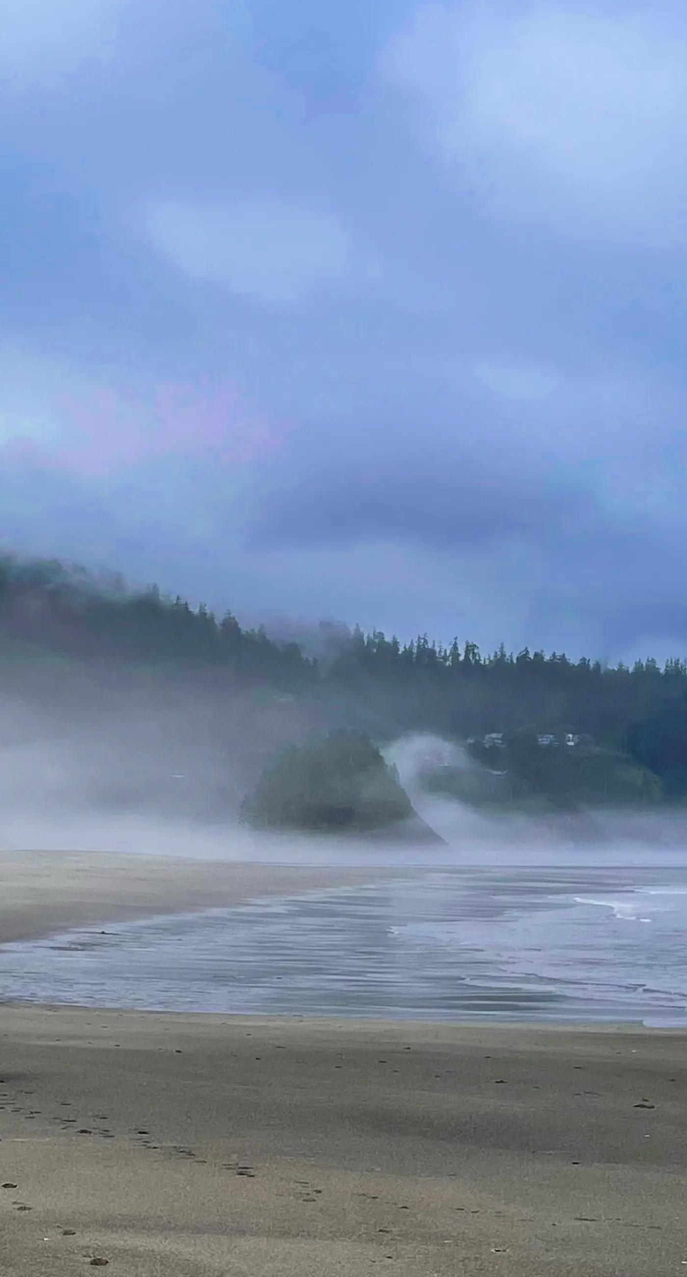 Oceanfront ground level condo with fireplace and updated kitchen dog friendly