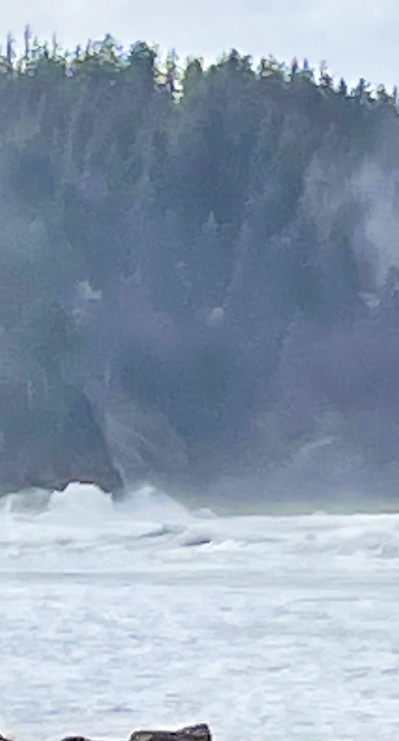 Oceanfront ground level condo with fireplace and updated kitchen dog friendly