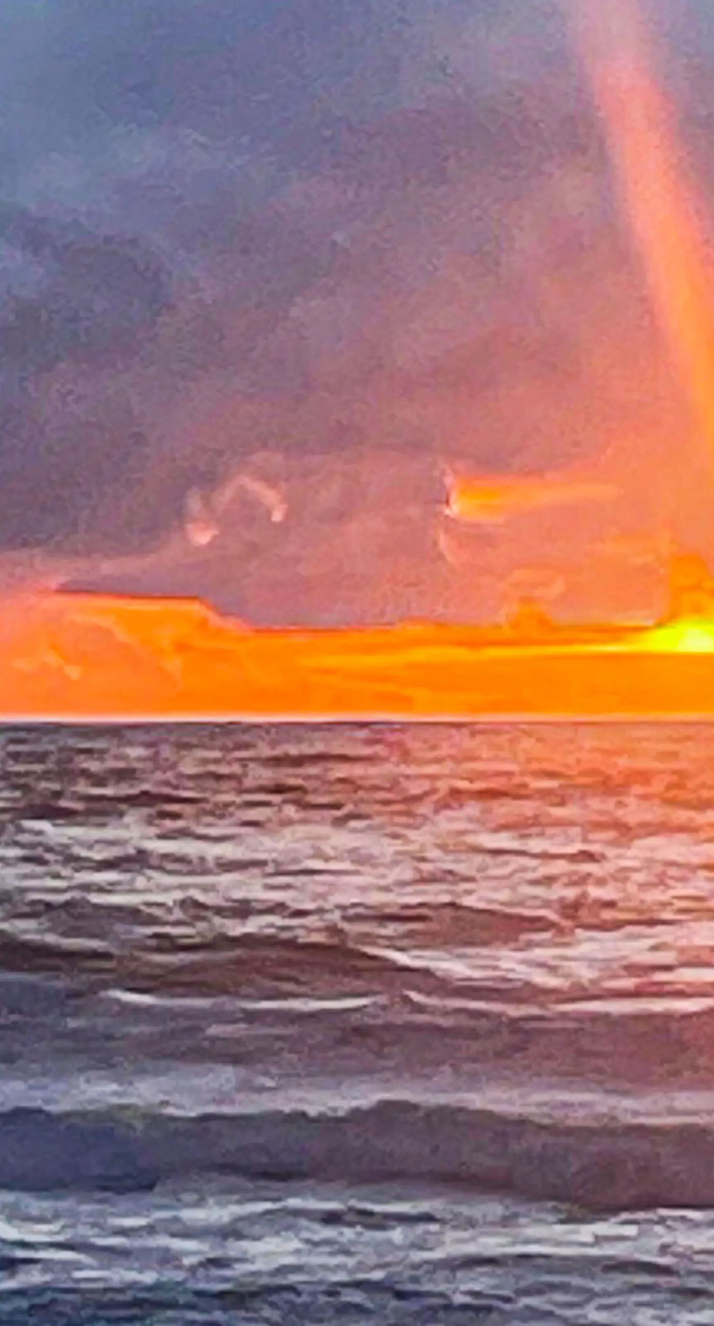 Oceanfront ground level condo with fireplace and updated kitchen dog friendly