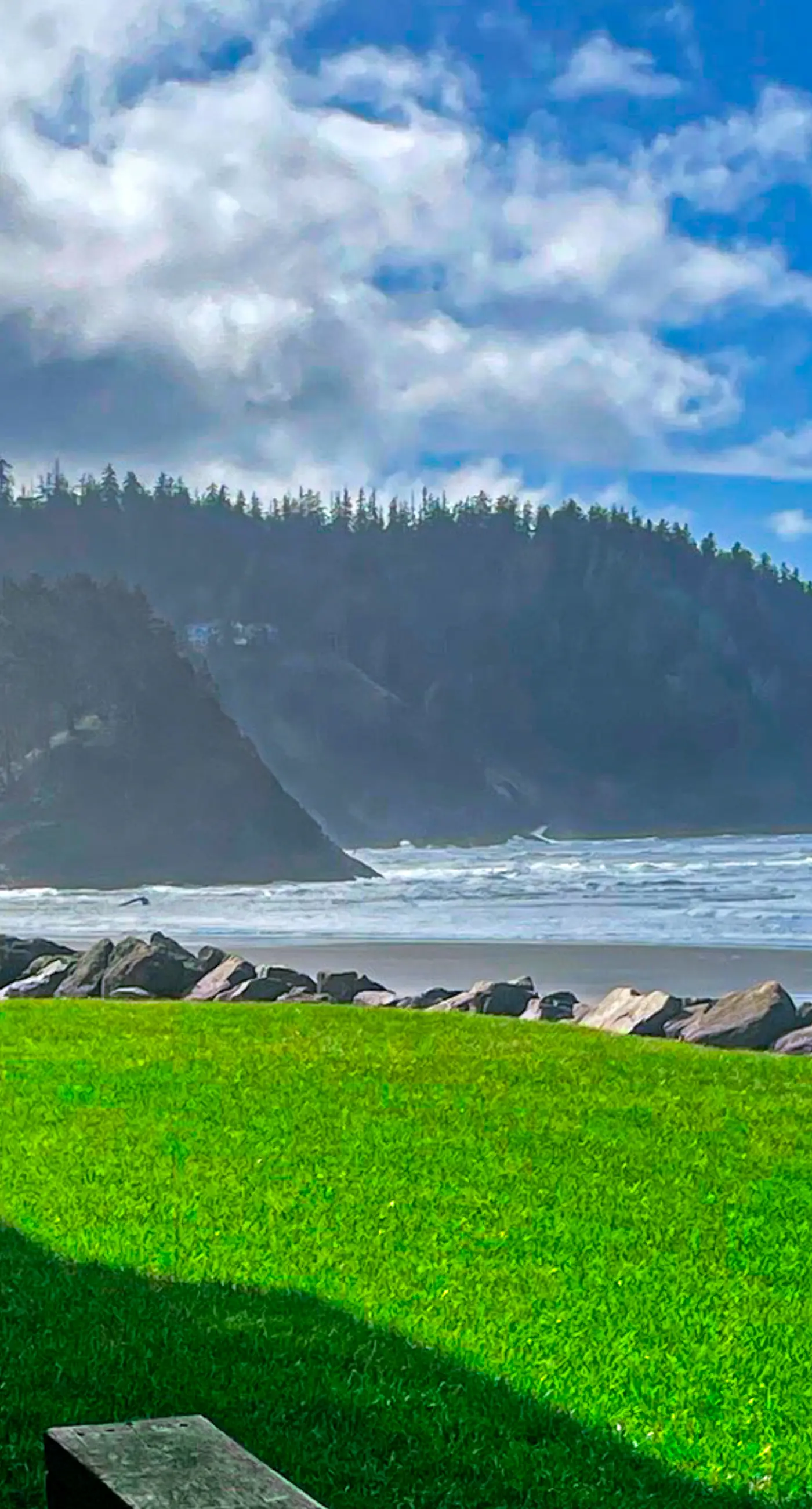 Oceanfront ground level condo with fireplace and updated kitchen dog friendly