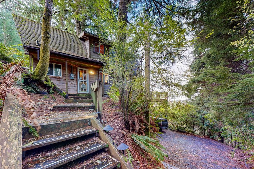Dog friendly cabin with ocean view fast WiFi fireplace and washer dryer