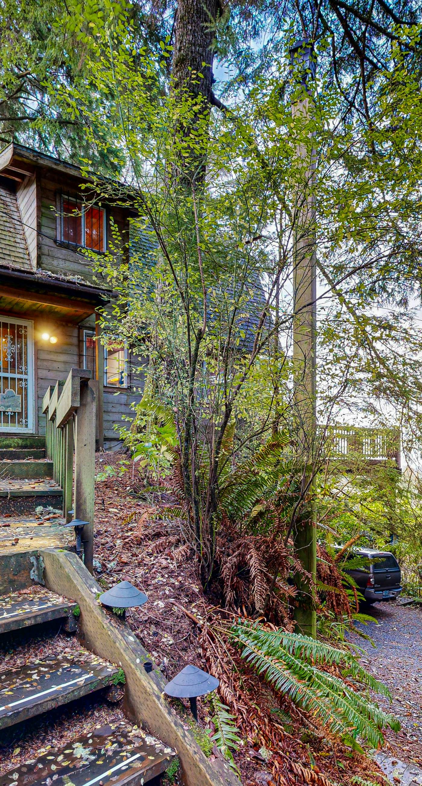 Dog friendly cabin with ocean view fast WiFi fireplace and washer dryer