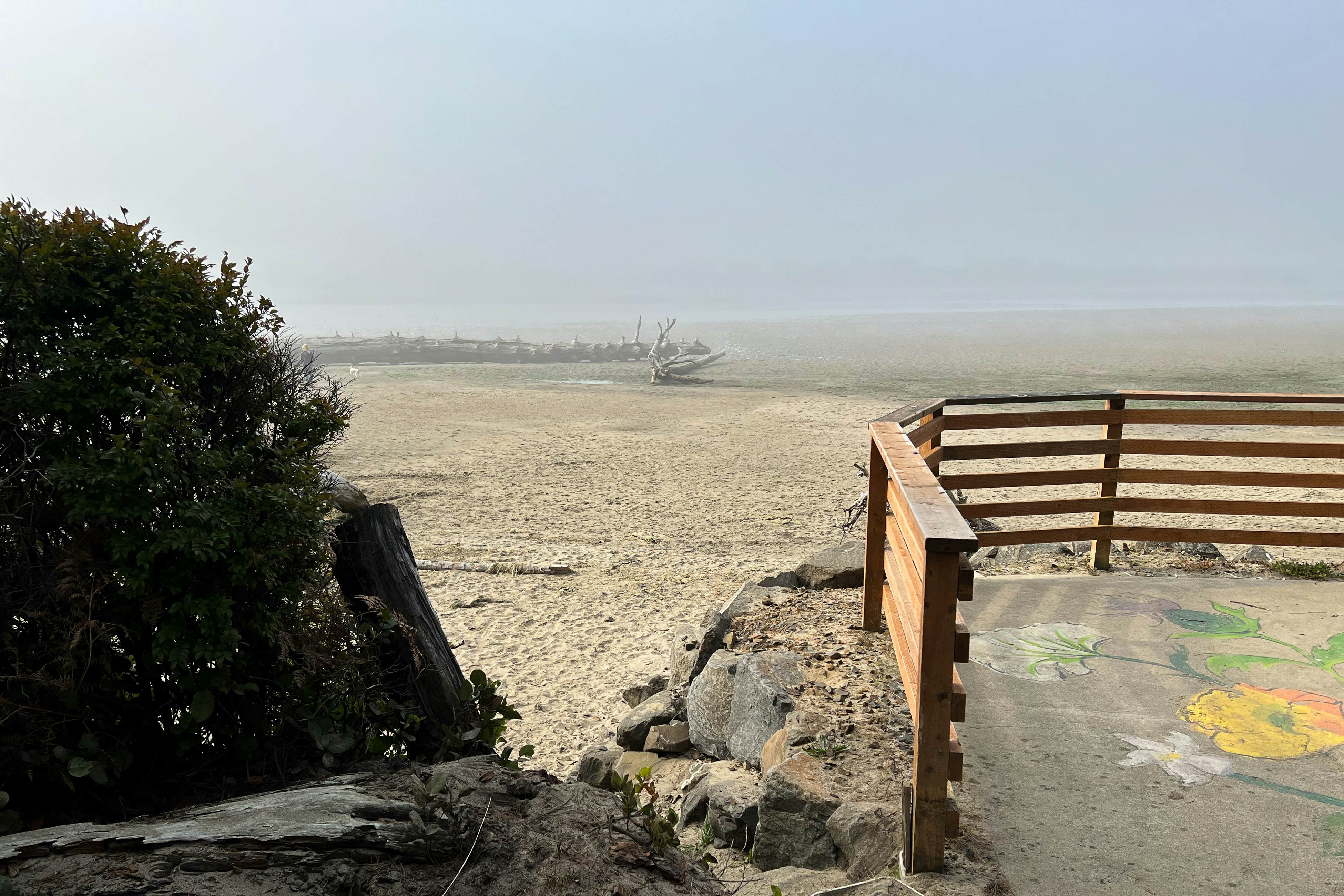 Dog friendly home with a patio near Siletz Bay walk to the beach and parks