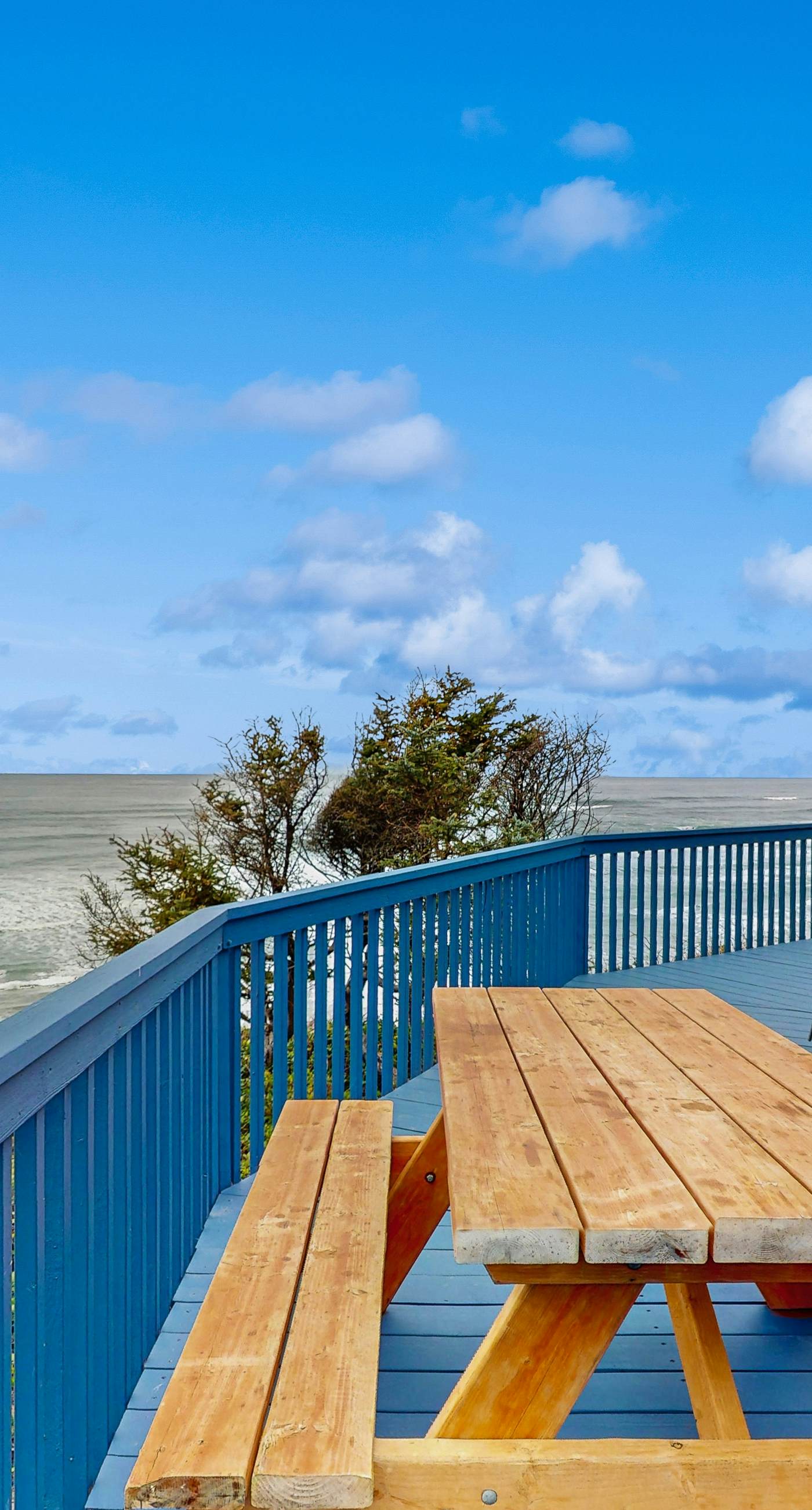 Dog friendly oceanfront home with private hot tub sauna and incredible view
