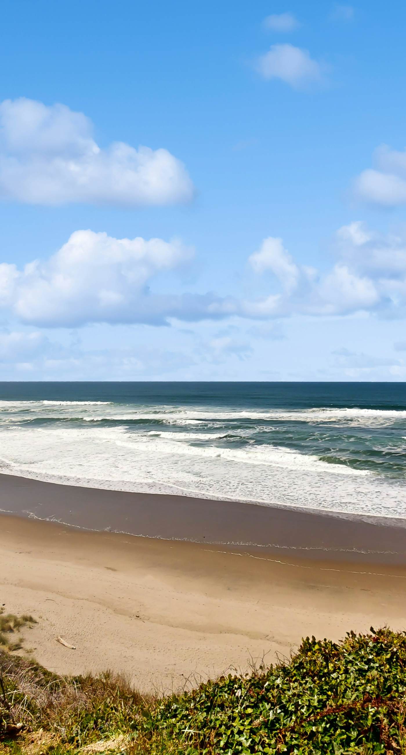 Oceanfront dog friendly home with 180 degree view deck and great location