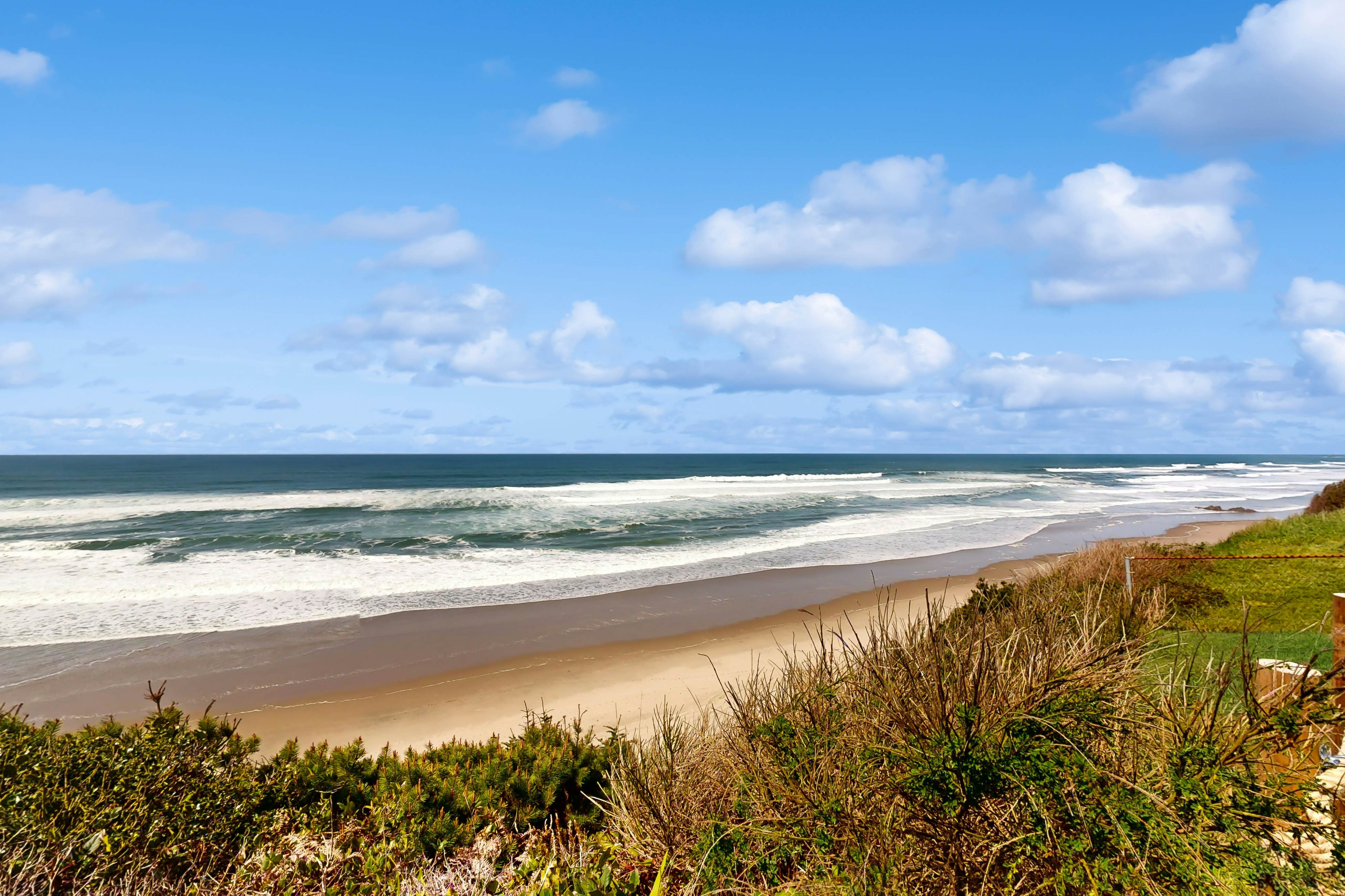 Oceanfront, dog-friendly home with 180-degree view, deck & great location