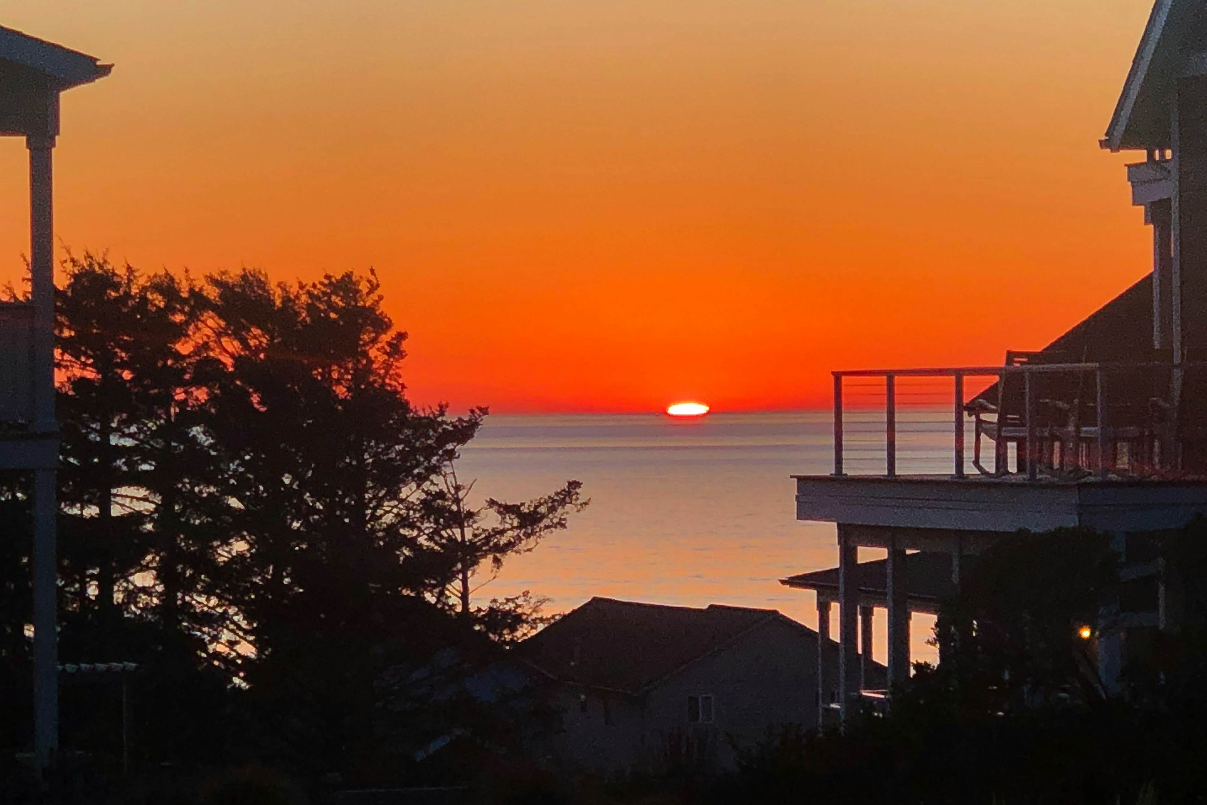 Wonderful coastal escape in the trees with private hot tub & fast WiFi - dogs OK