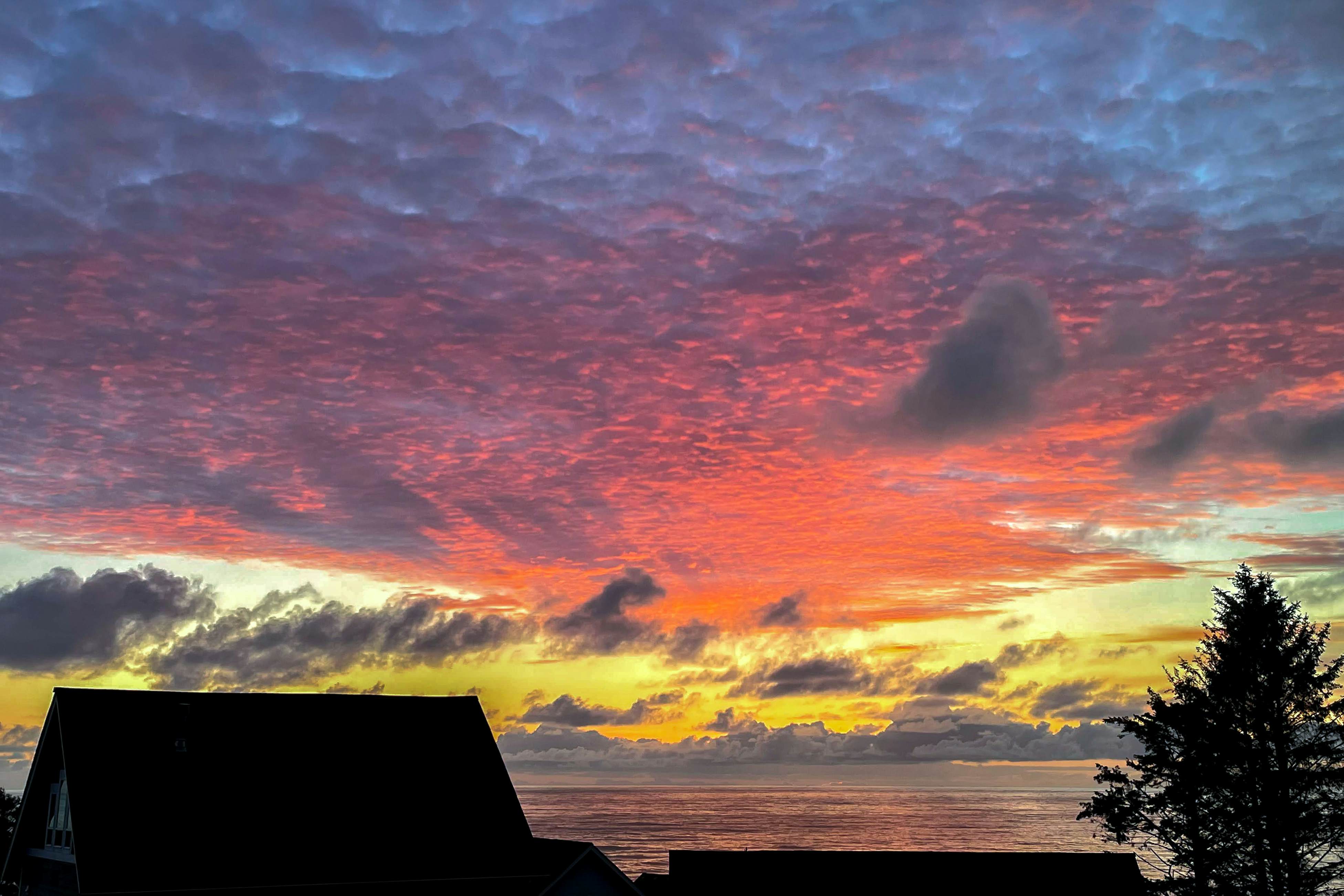 Wonderful coastal escape in the trees with private hot tub & fast WiFi - dogs OK