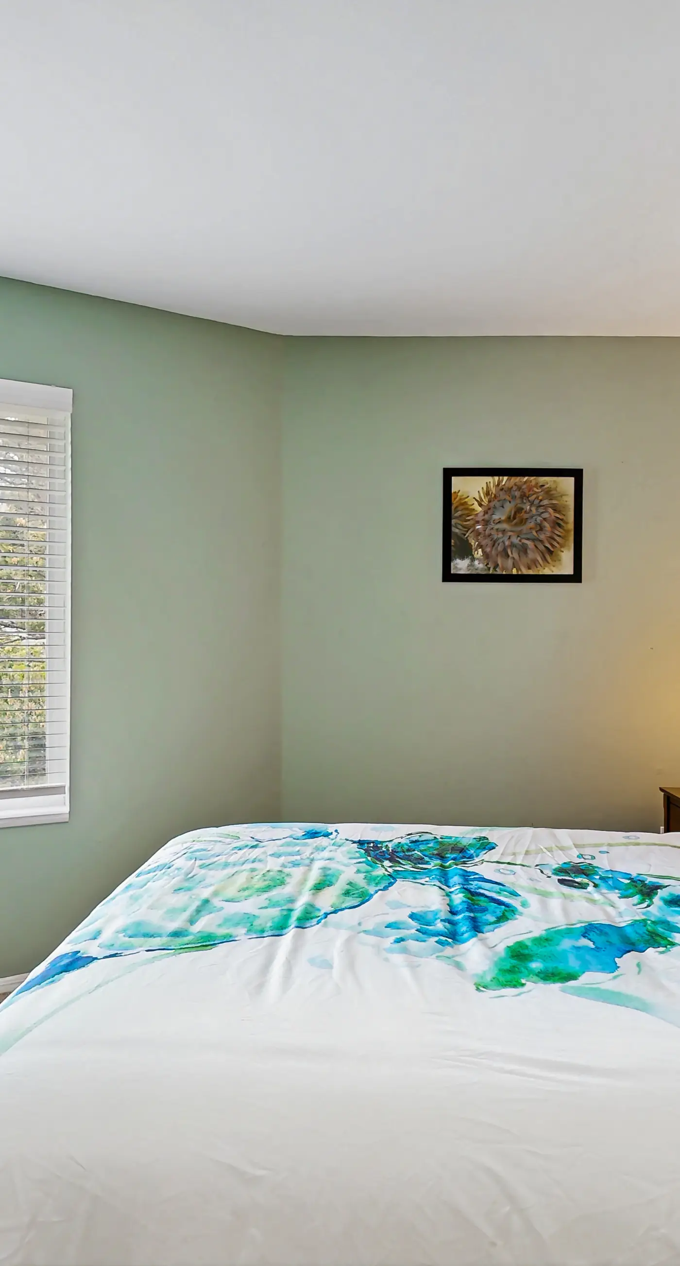Dog Friendly Bayfront Beauty with a Private Hot Tub Free WiFi and Washer Dryer