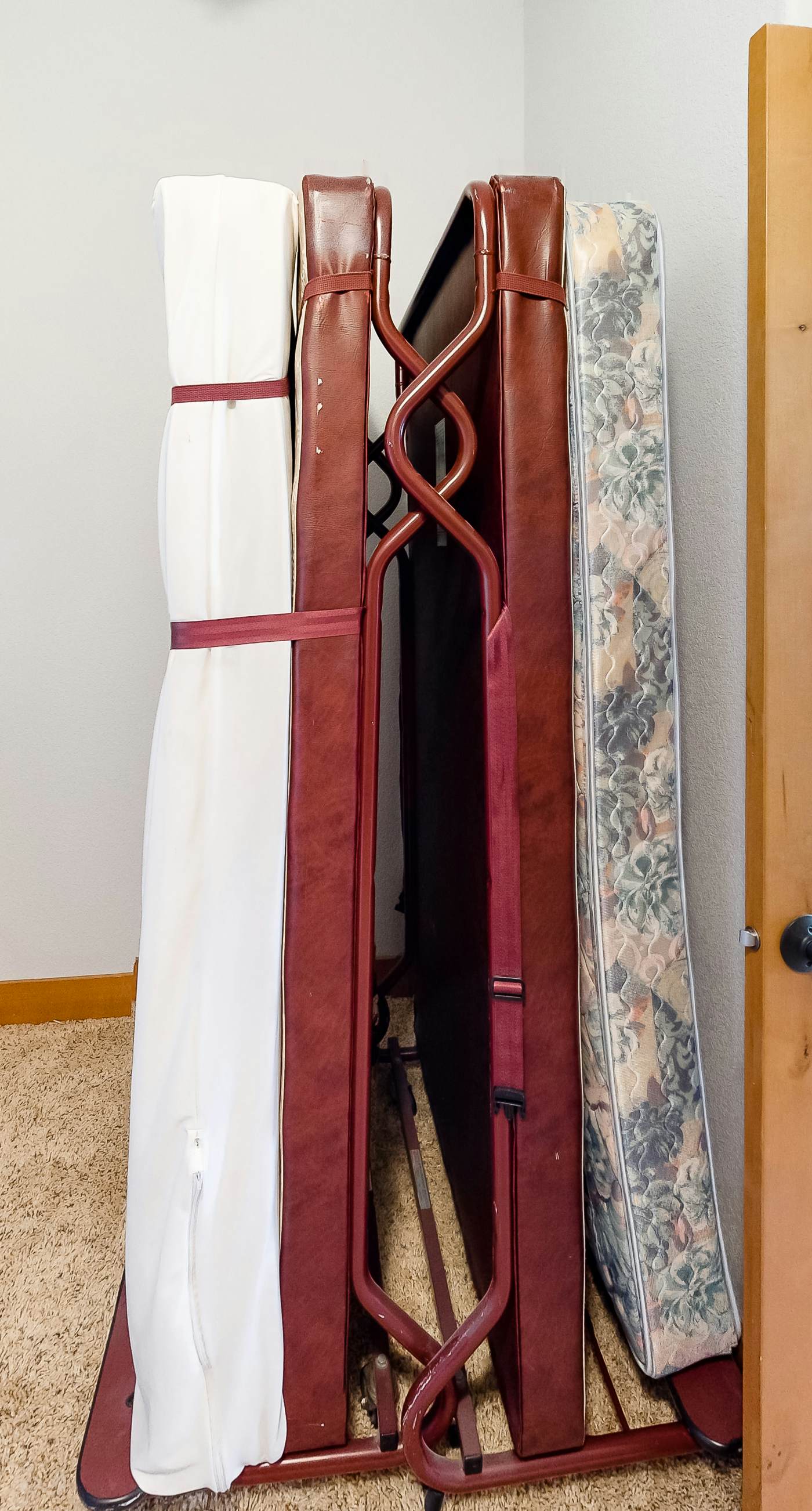 Dog Friendly Coastal Retreat with Ocean Views