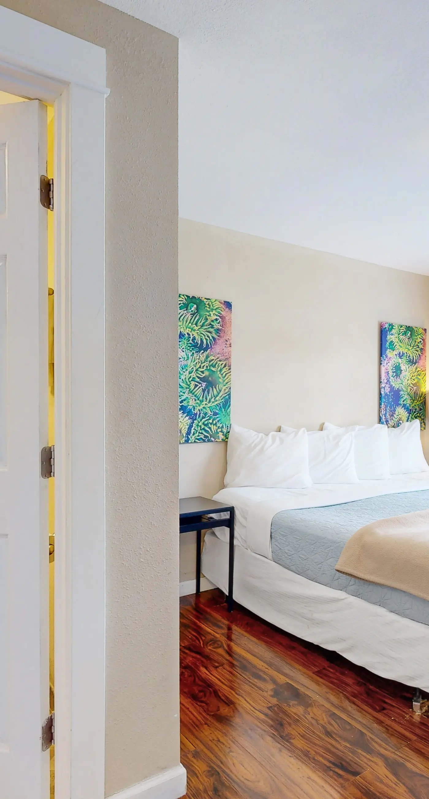 Enormous Renovated Home with Ocean Views and Easy Beach Access Dogs OK