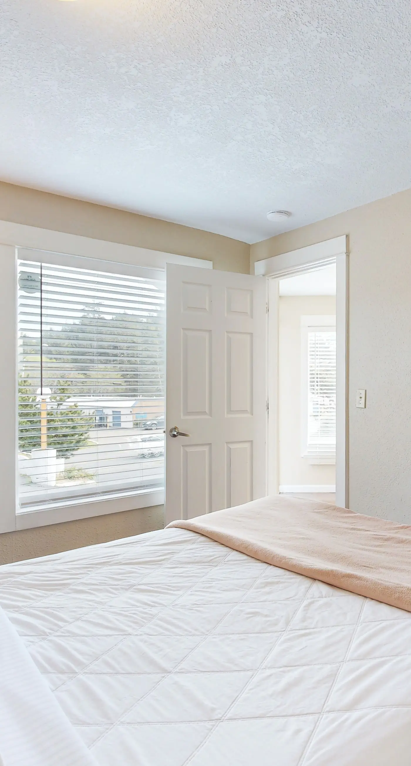 Enormous Renovated Home with Ocean Views and Easy Beach Access Dogs OK