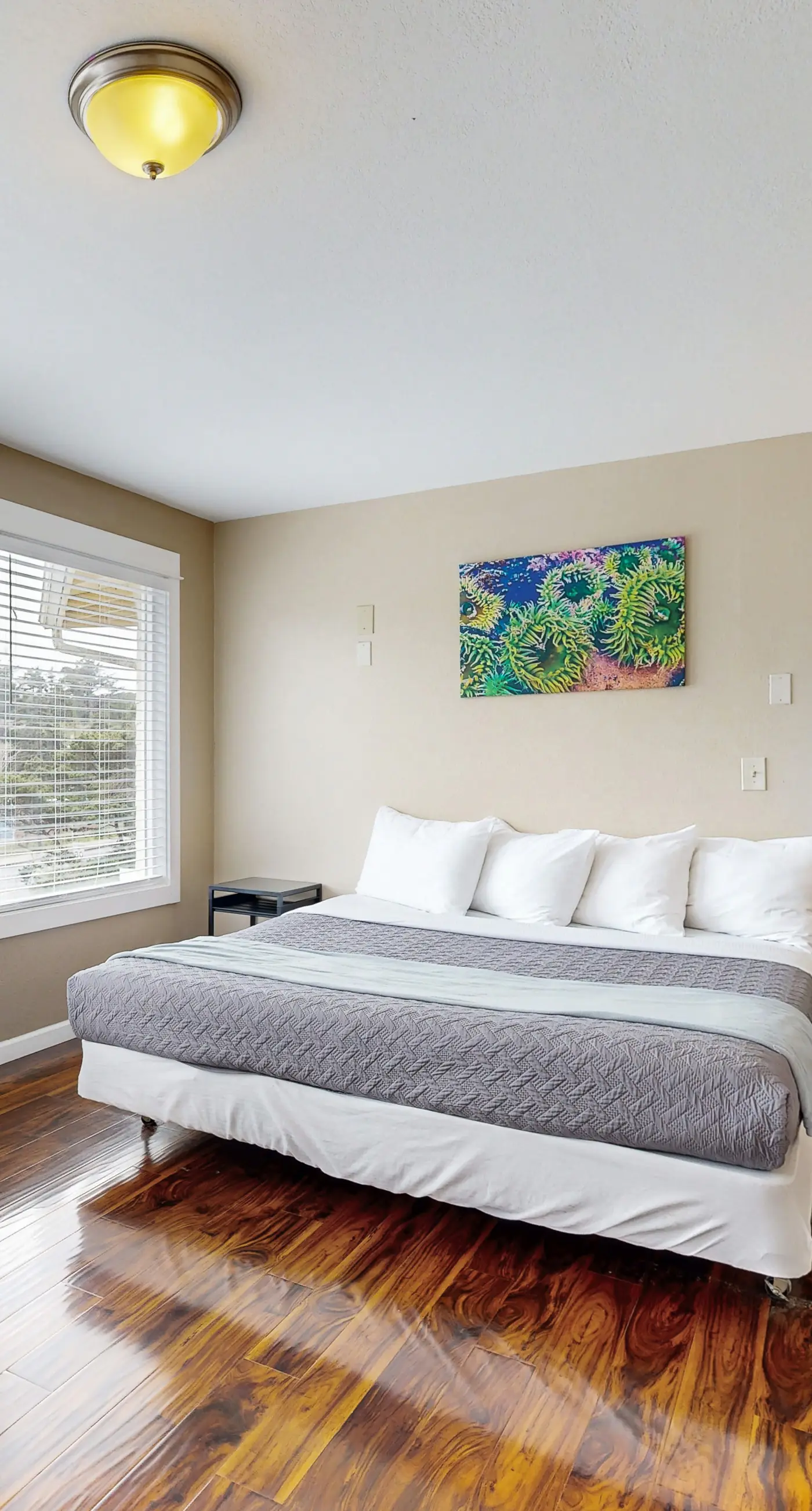 Enormous Renovated Home with Ocean Views and Easy Beach Access Dogs OK