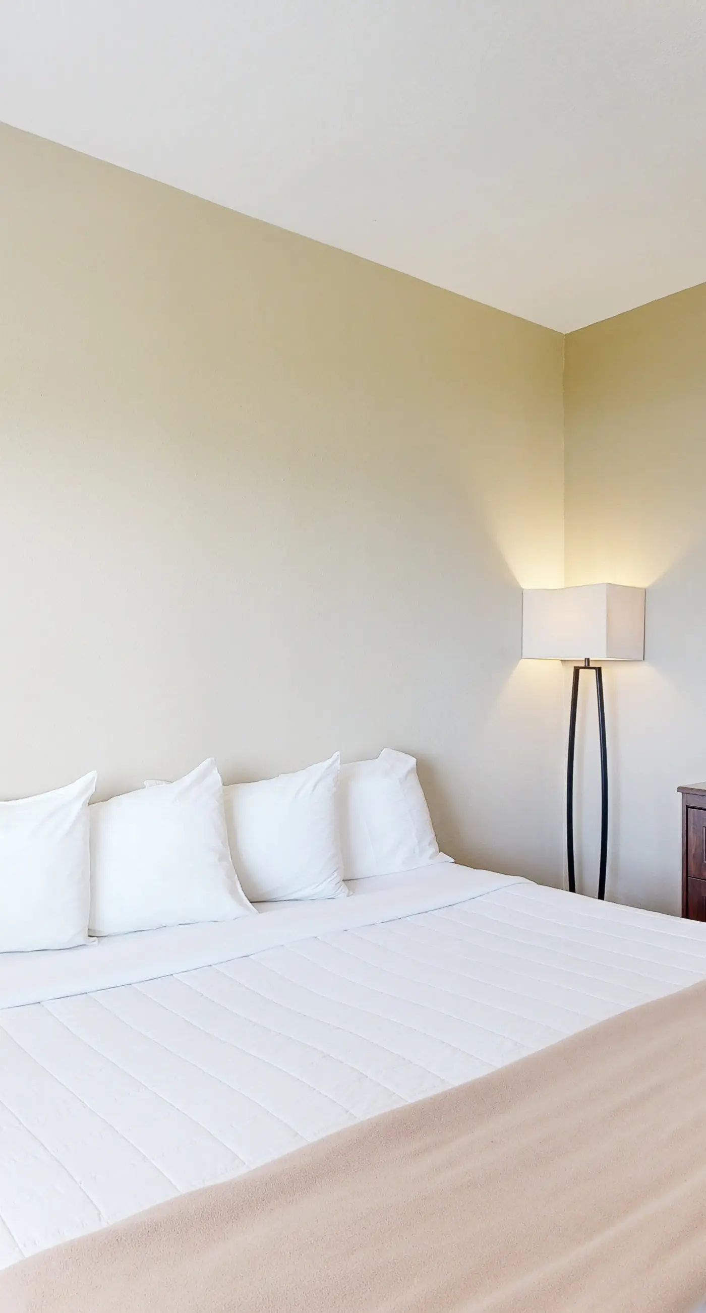 Enormous Renovated Home with Ocean Views and Easy Beach Access Dogs OK