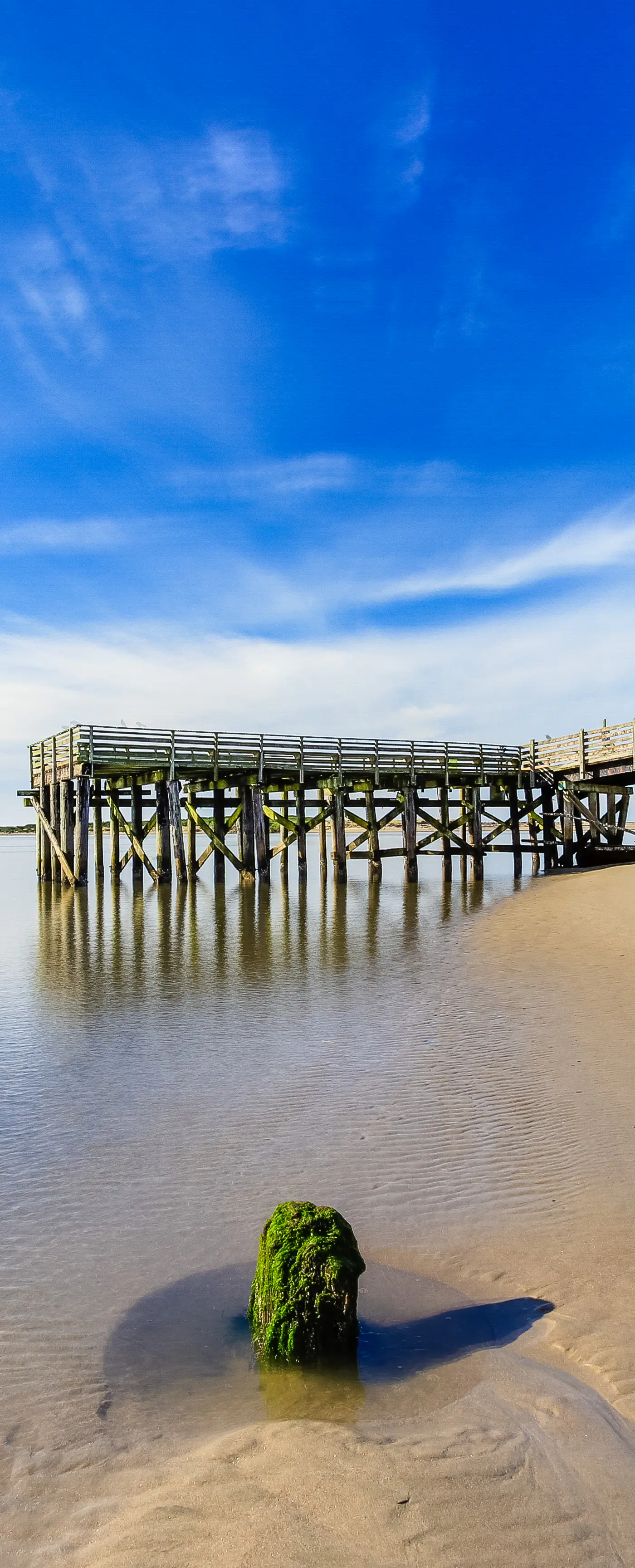 Enormous Renovated Home with Ocean Views and Easy Beach Access Dogs OK