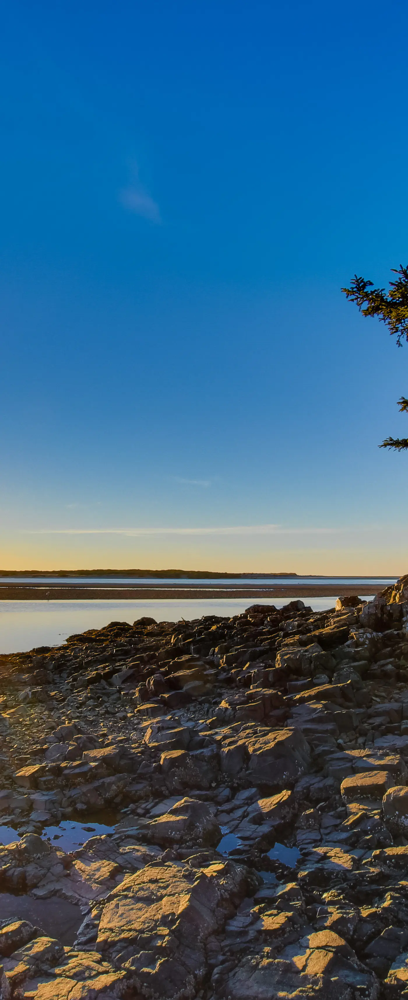 Enormous Renovated Home with Ocean Views and Easy Beach Access Dogs OK