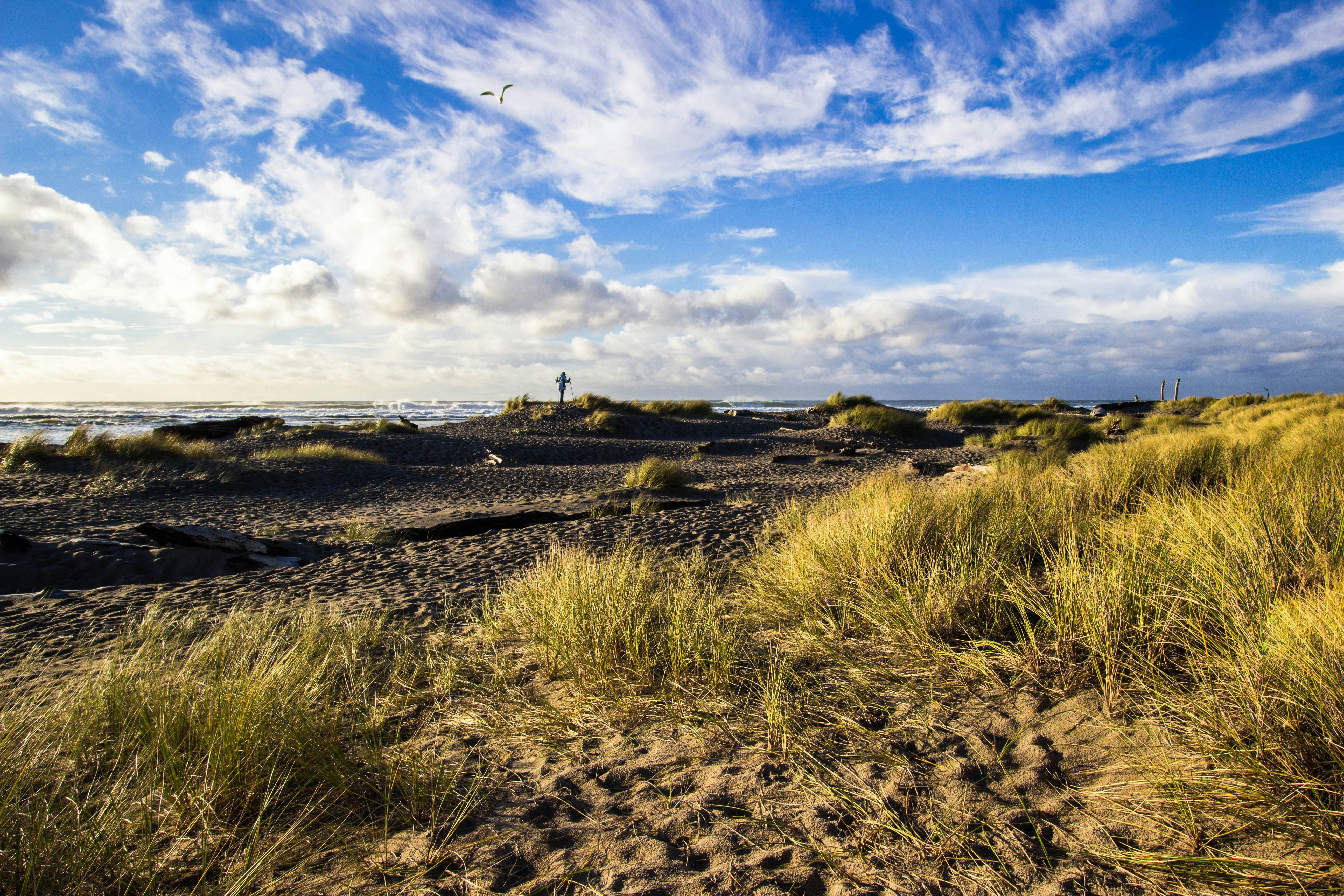 Luxurious & Spacious, Renovated Condo with Gorgeous Ocean Views - Dogs OK