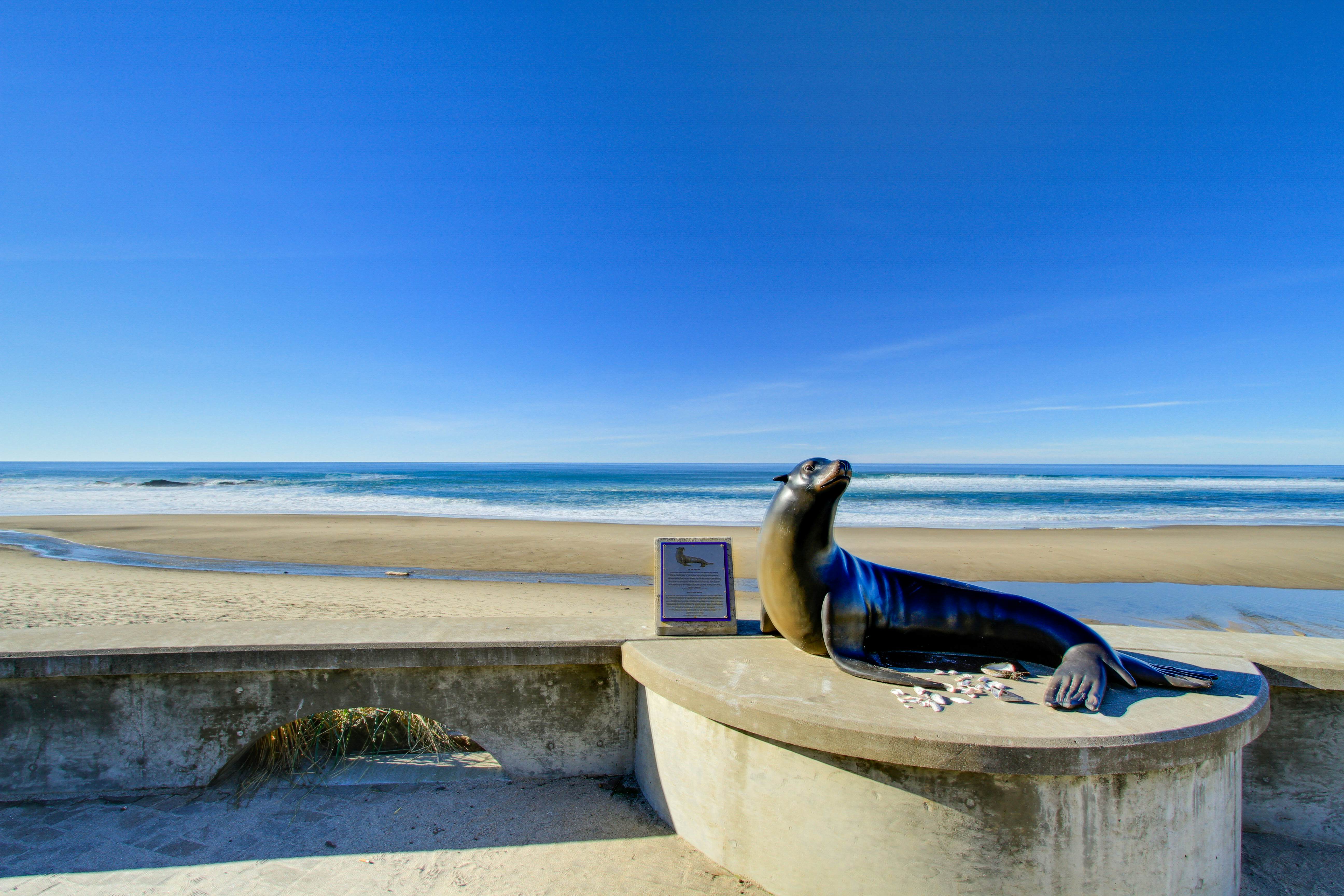 Ocean Views & Pure Luxury Await, Dog-Friendly Home with WiFi