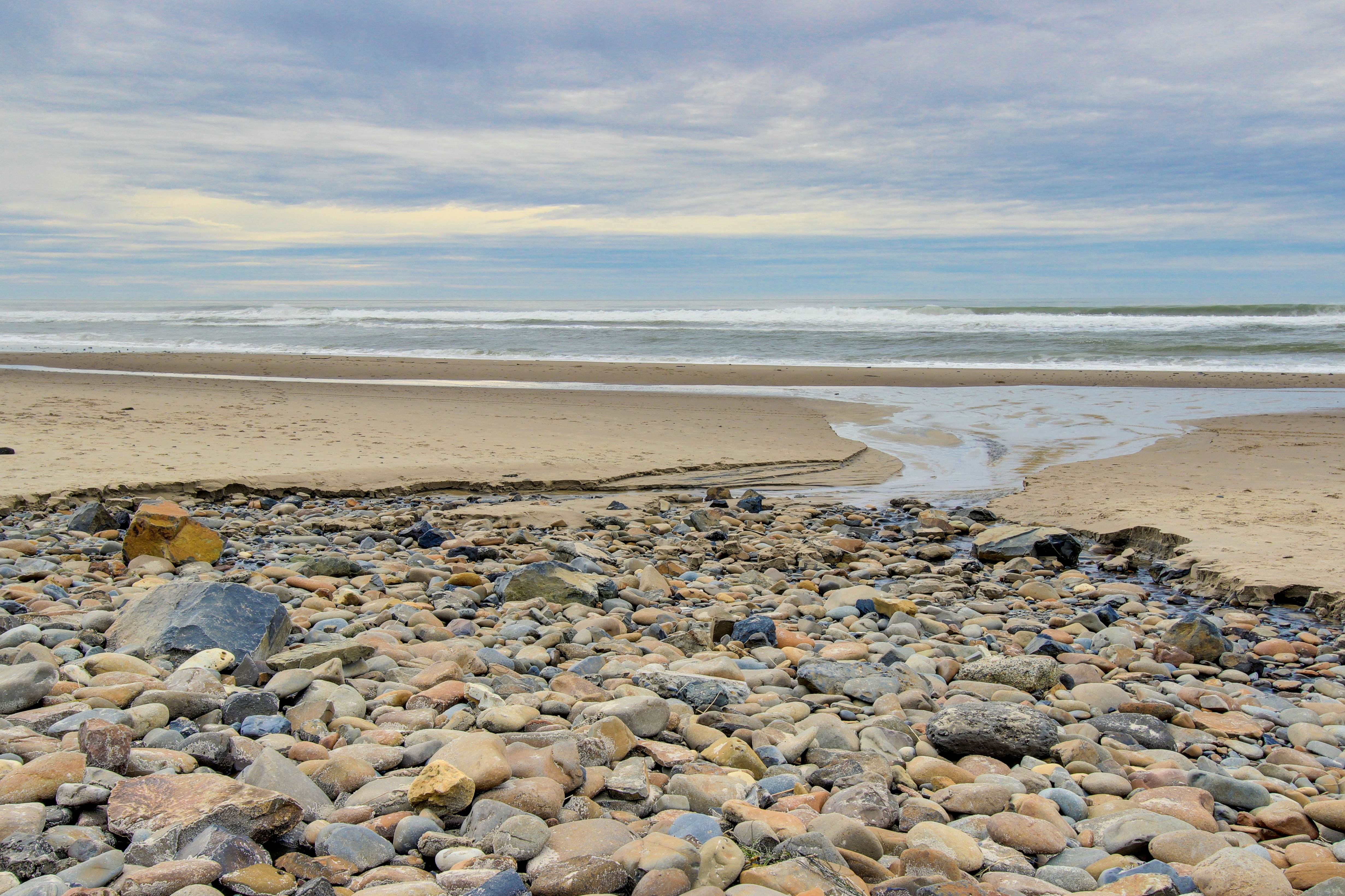 Dog-Friendly Studio with Ocean Views, WiFi, & Nearby Beach Access