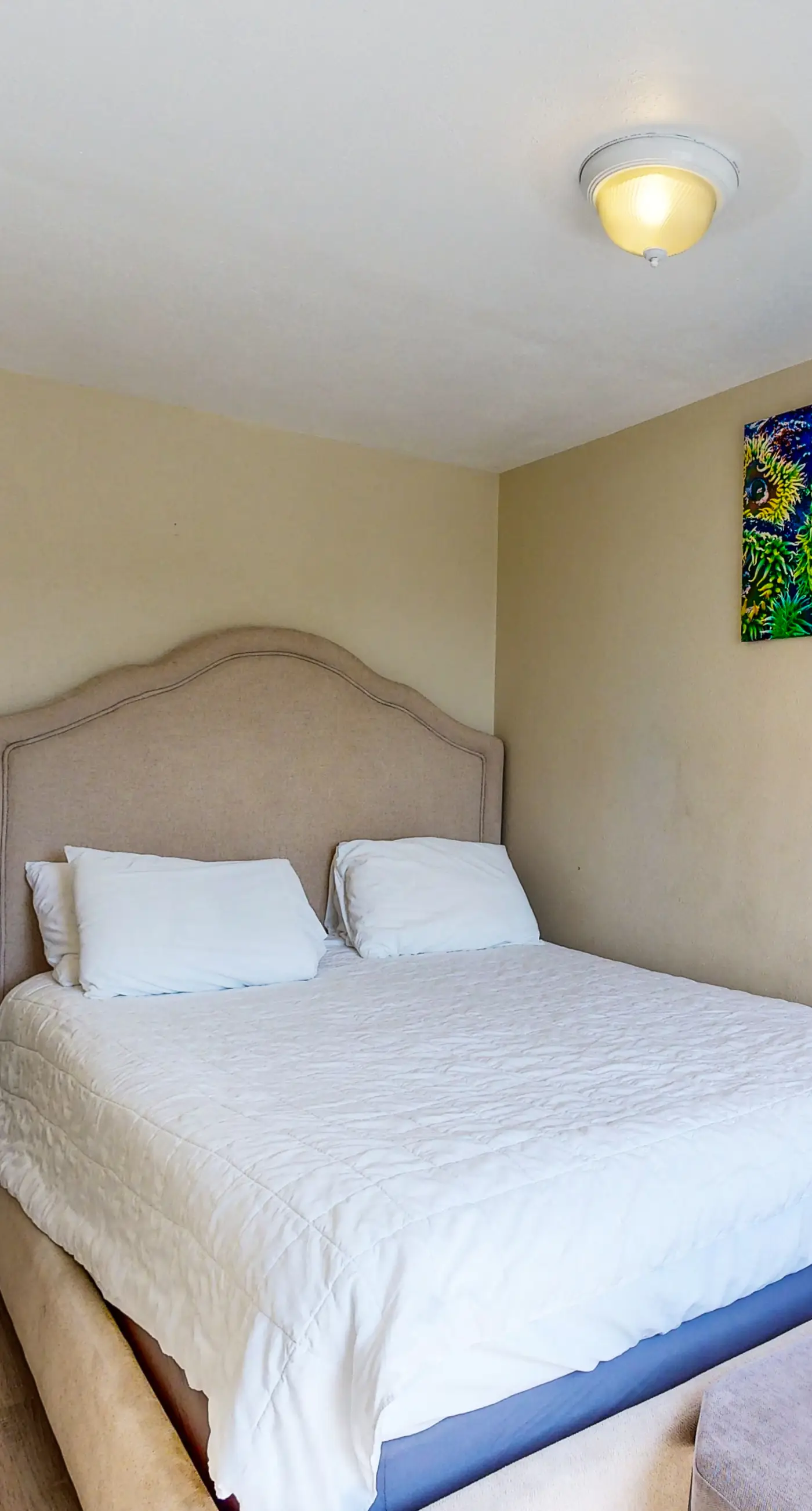 Lovely Coastal Condo with Ocean Views Walk to Beach Dogs OK