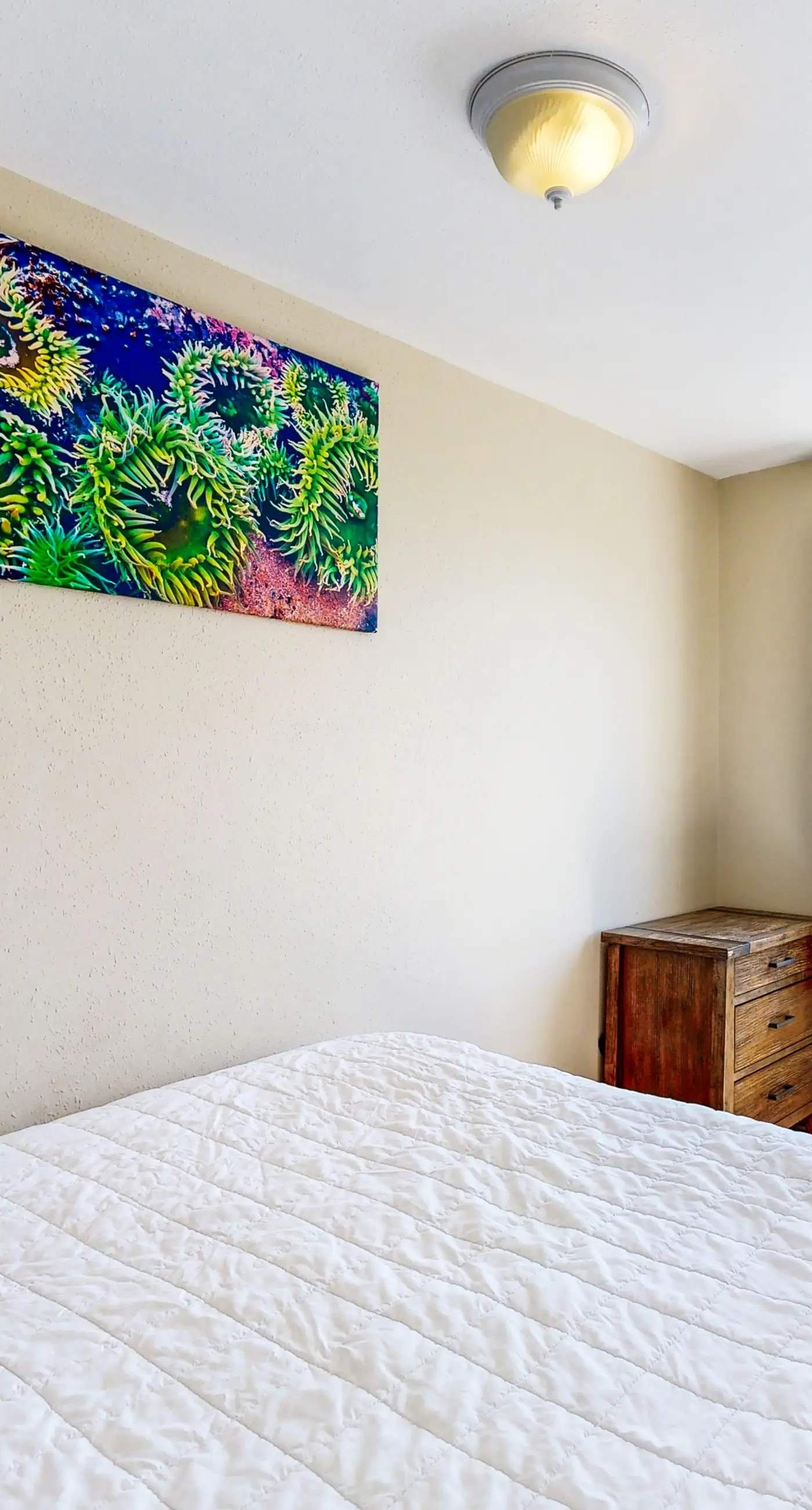 Lovely Coastal Condo with Ocean Views Walk to Beach Dogs OK