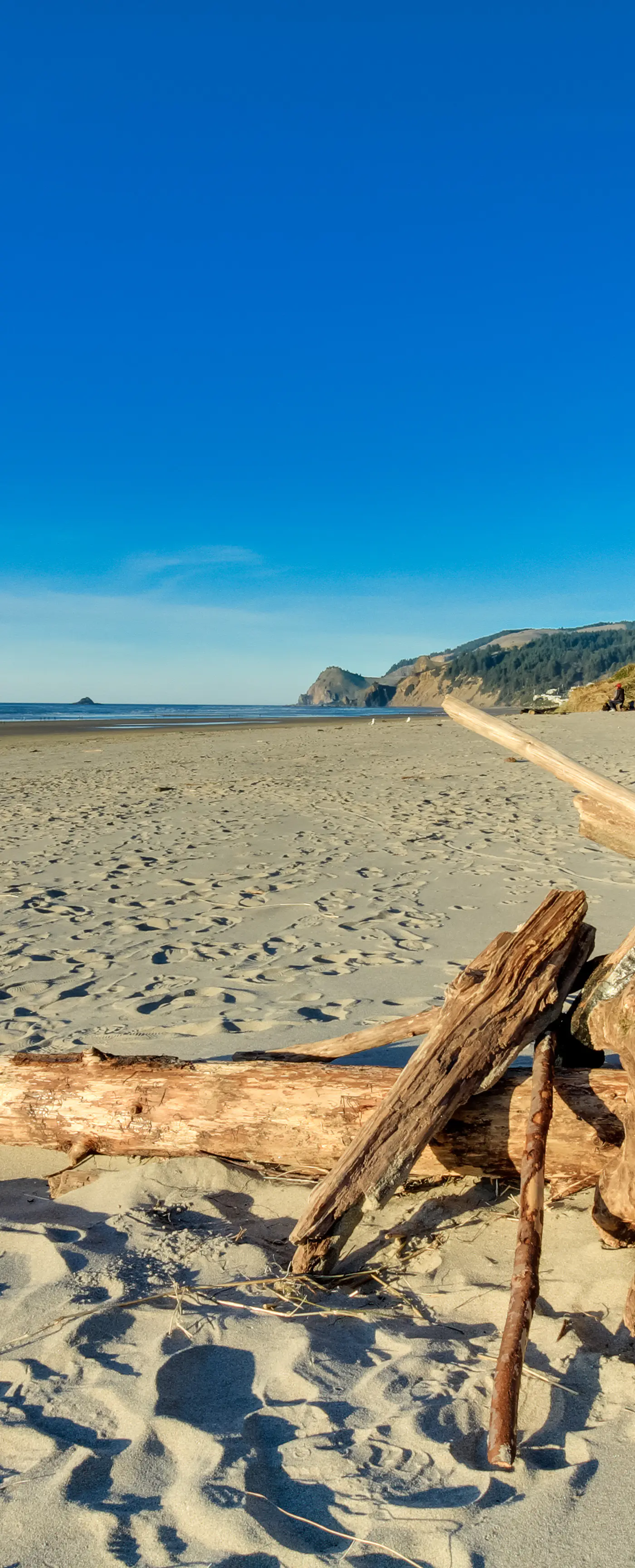 Lovely Coastal Condo with Ocean Views Walk to Beach Dogs OK