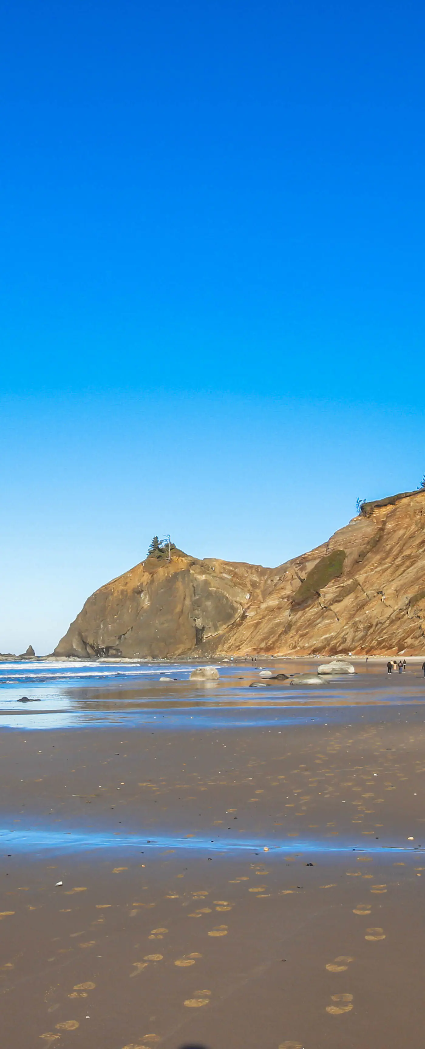 Lovely Coastal Condo with Ocean Views Walk to Beach Dogs OK