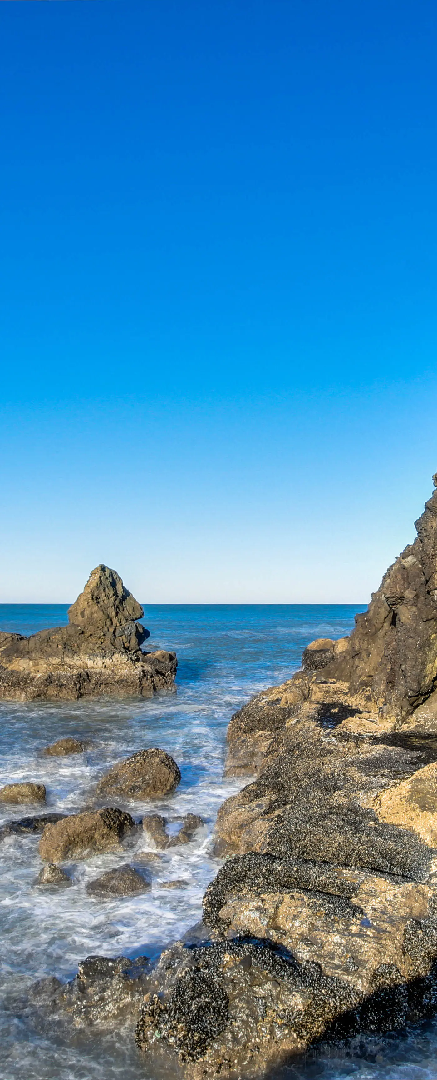 Lovely Coastal Condo with Ocean Views Walk to Beach Dogs OK