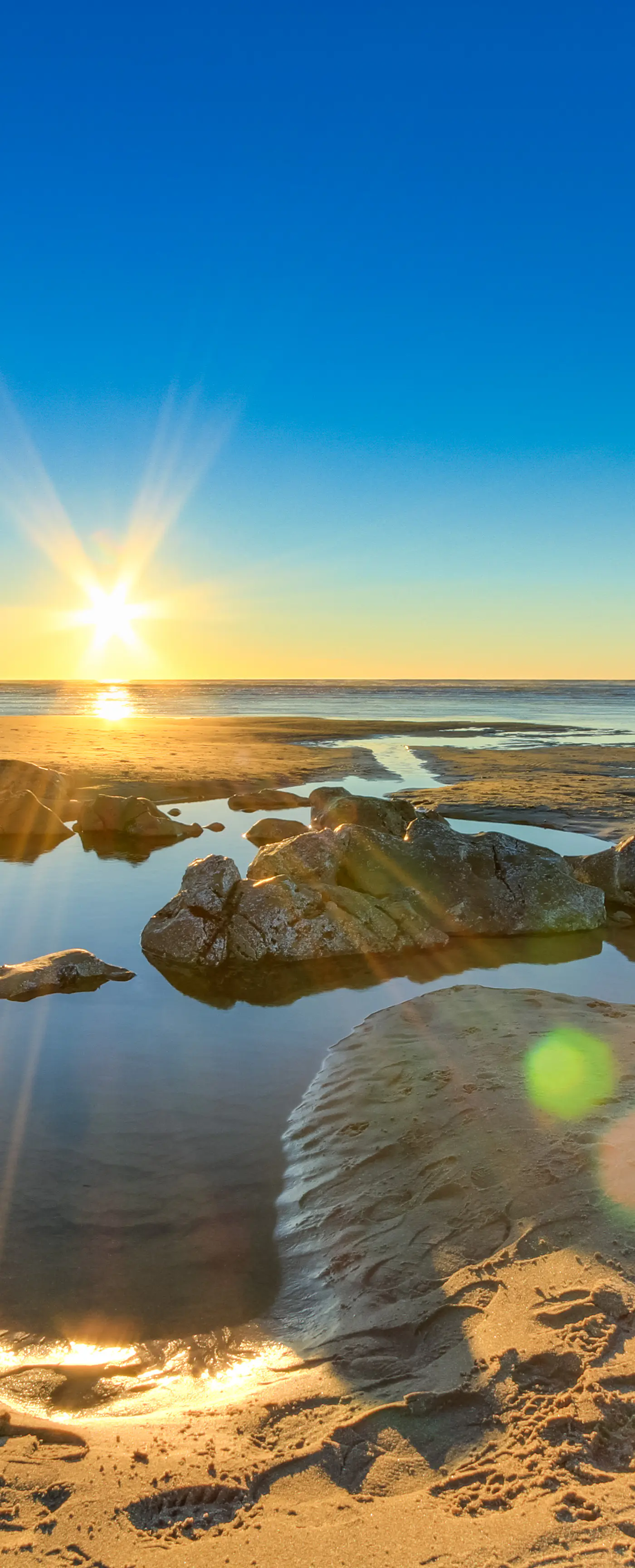 Lovely Oceanview Condo Close to the Beach Dogs Welcome