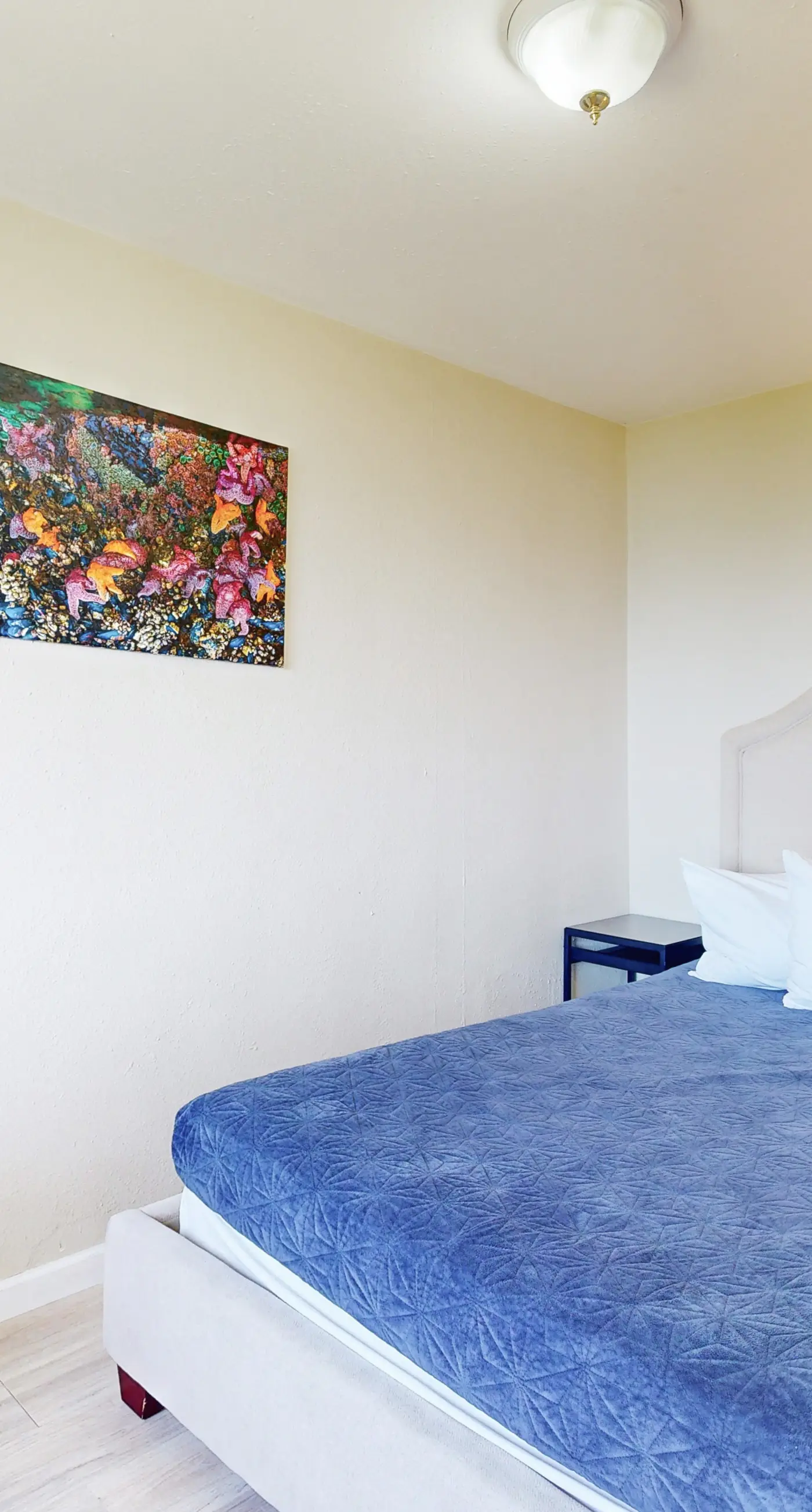 Lovely Oceanview Condo Close to the Beach Dogs Welcome