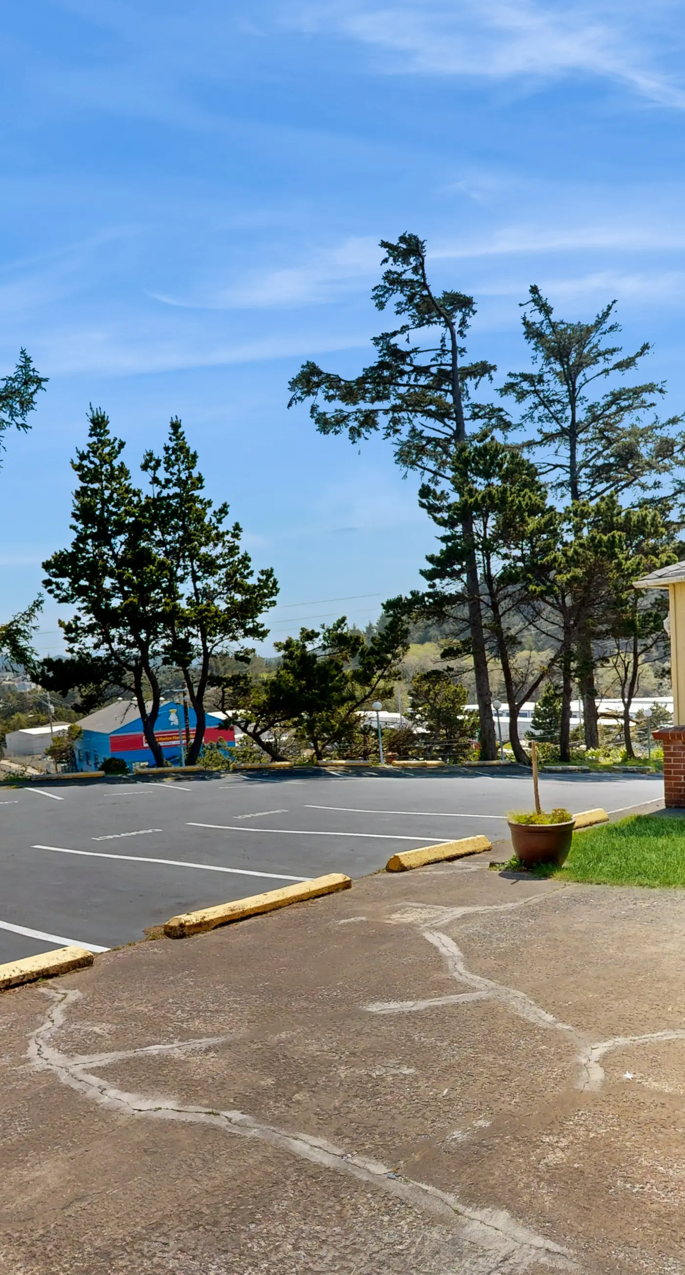 Lovely Oceanview Condo Close to the Beach Dogs Welcome