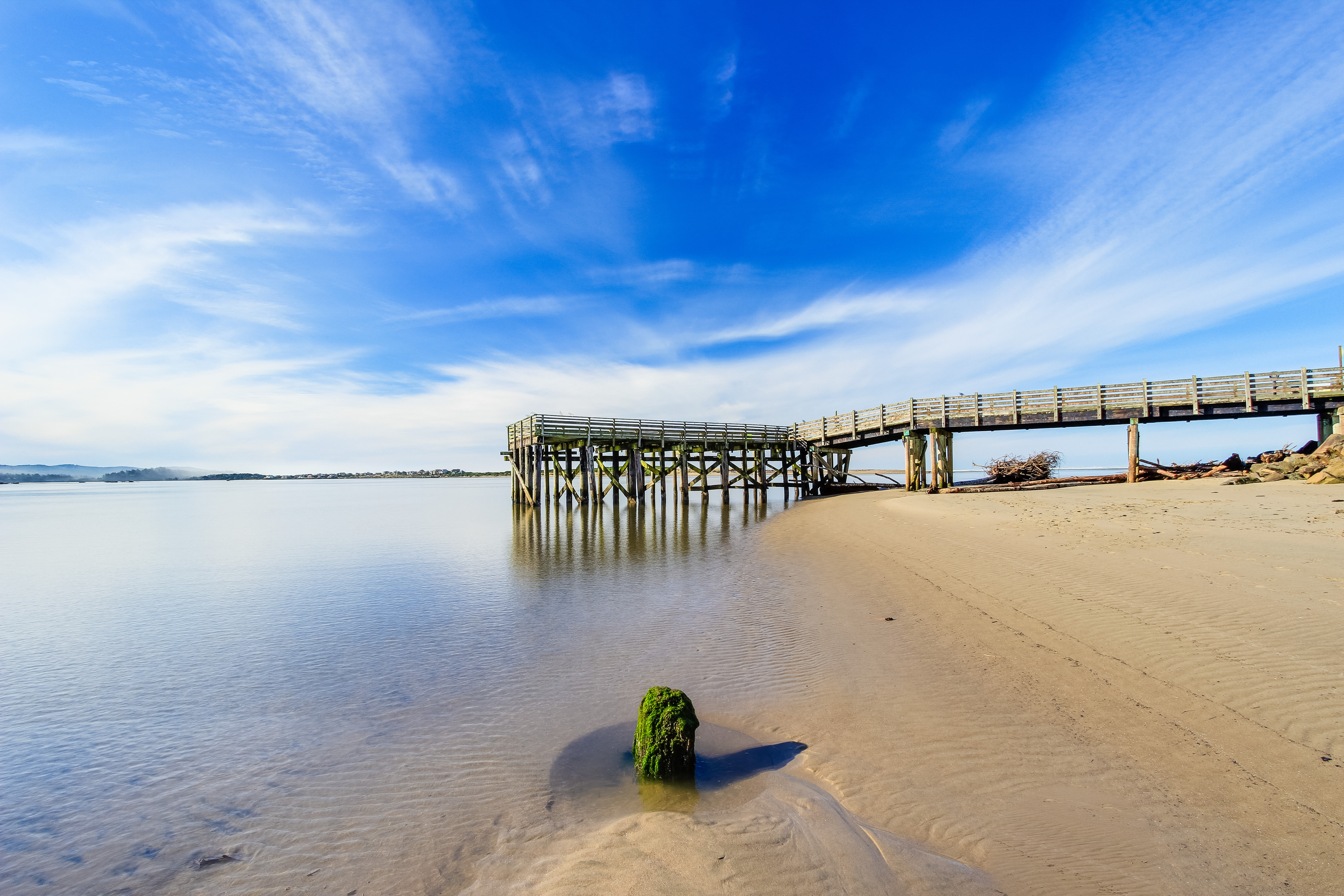 Dog Friendly Condo with Partial Ocean Views Short Walk to the Beach