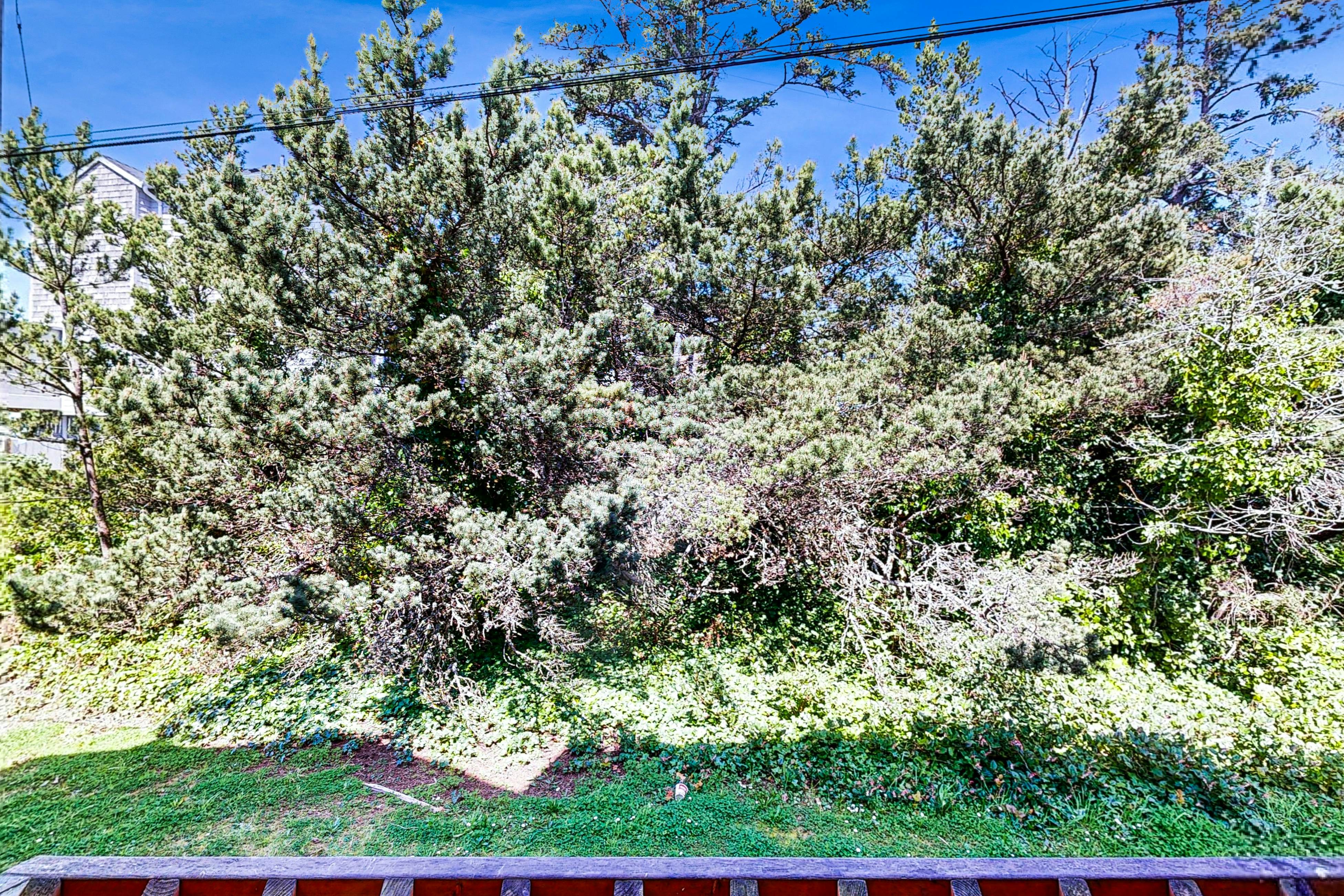 Dog-Friendly Condo with Partial Ocean Views - Short Walk to the Beach