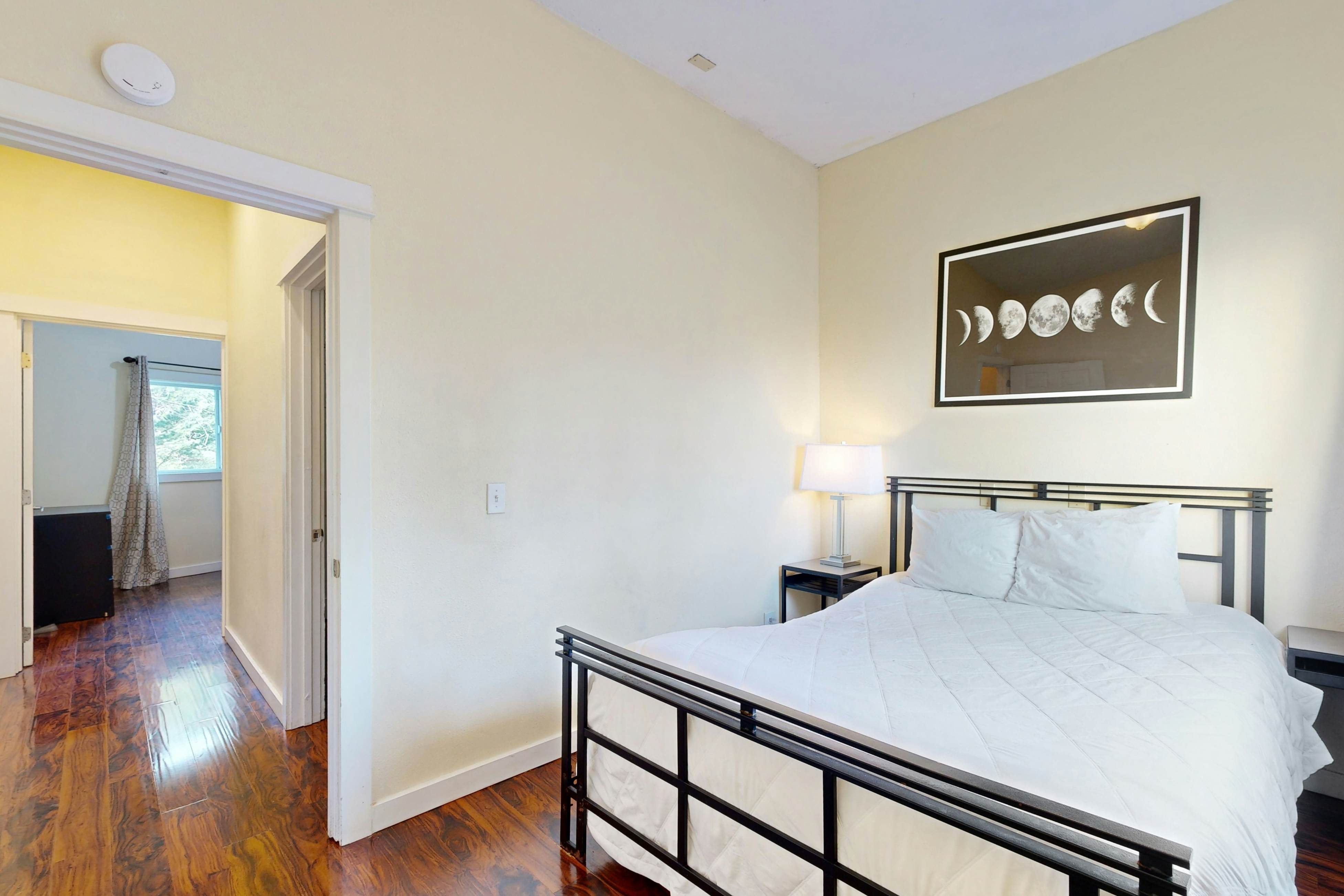 Great for Big Groups, Three Dog-Friendly Condos - Lovely Views, Walk to Beach