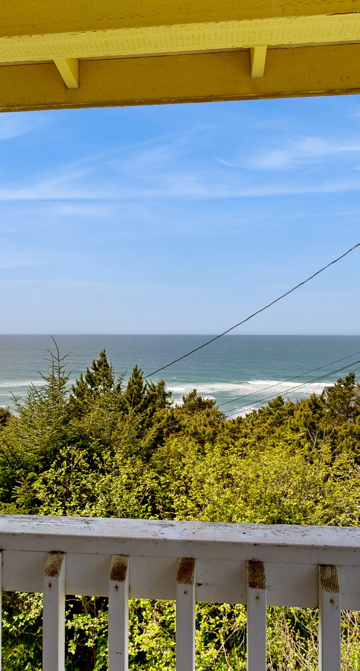 Dog Friendly Condo with Ocean View and Beach Access Perfect for Family Fun