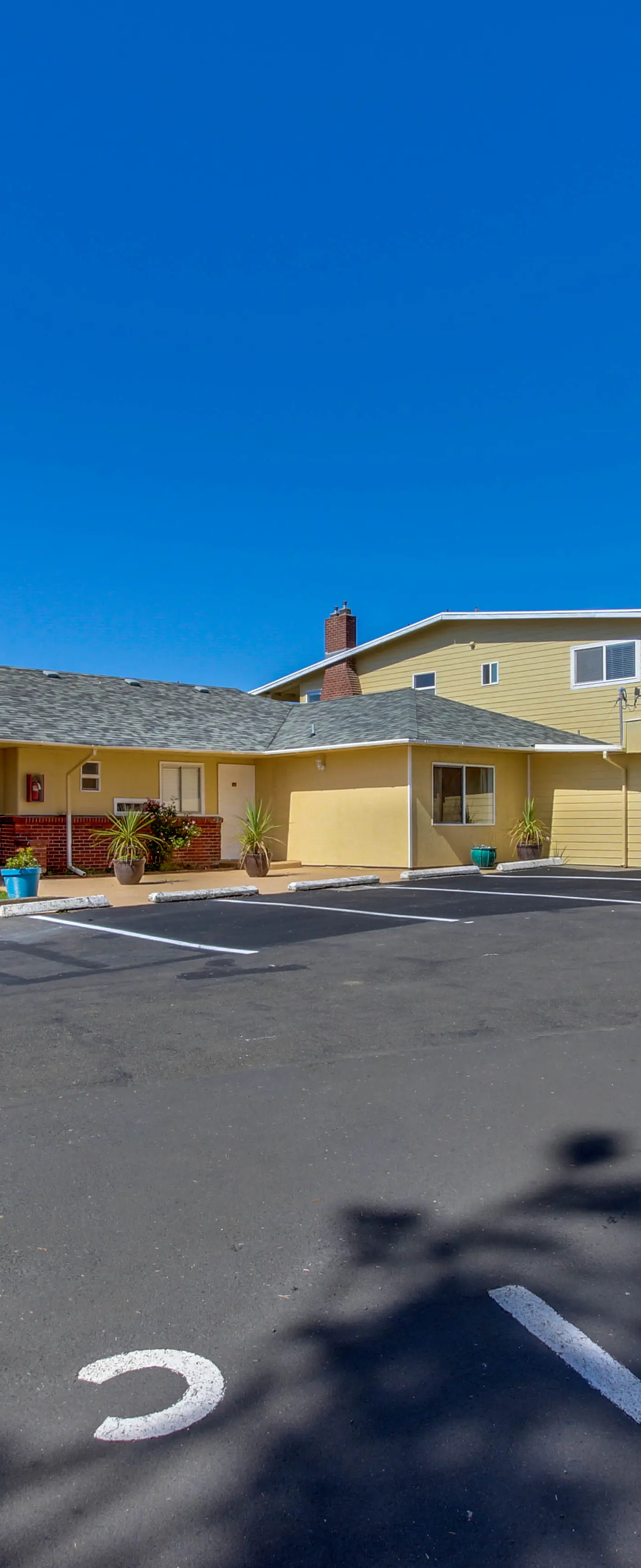 Dog Friendly Condo with Ocean View and Beach Access Perfect for Family Fun