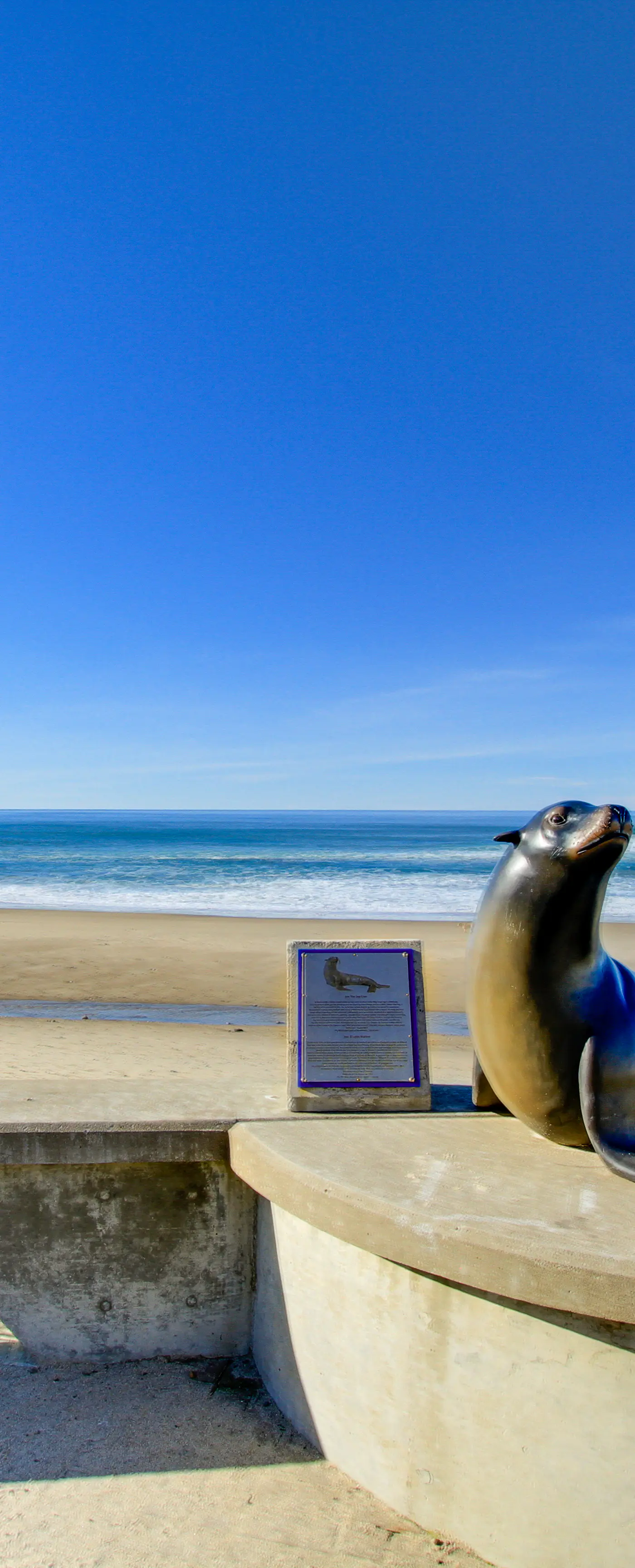 Dog Friendly Condo with Ocean View and Beach Access Perfect for Family Fun