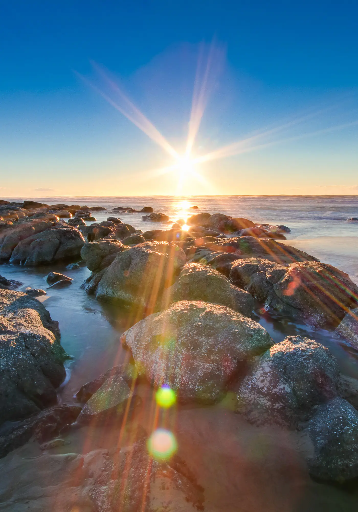 Dog Friendly Condo with Ocean View and Beach Access Perfect for Family Fun