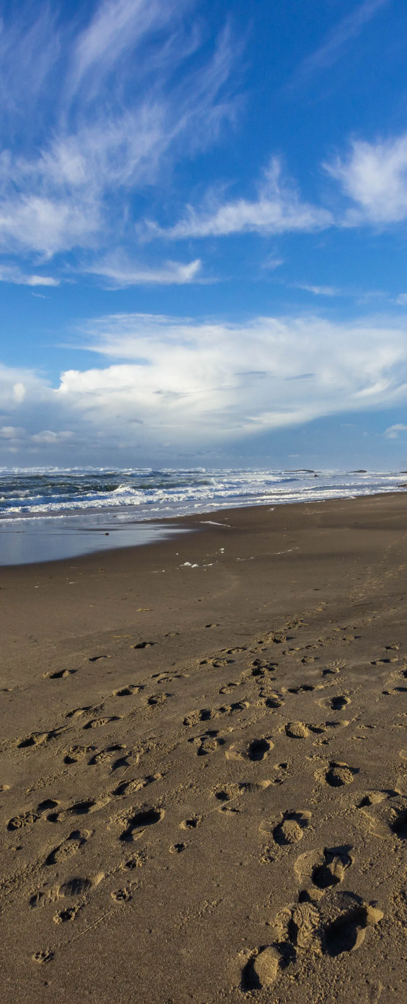 Dog Friendly Cozy Coastal Condo Minutes from the Beach