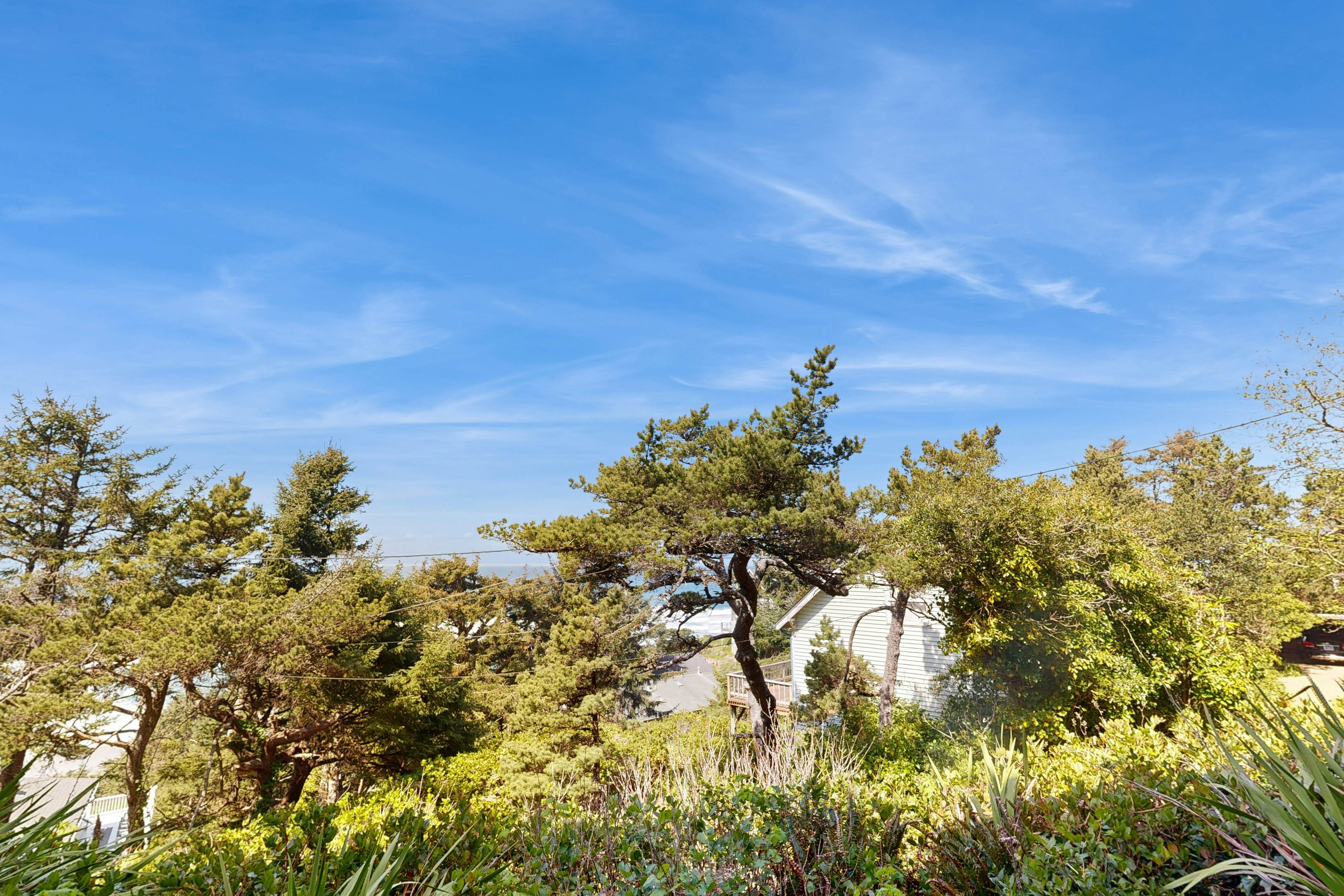 Lower-Level, Dog-Friendly Studio with Ocean Views & Free WiFi - Walk to Beach